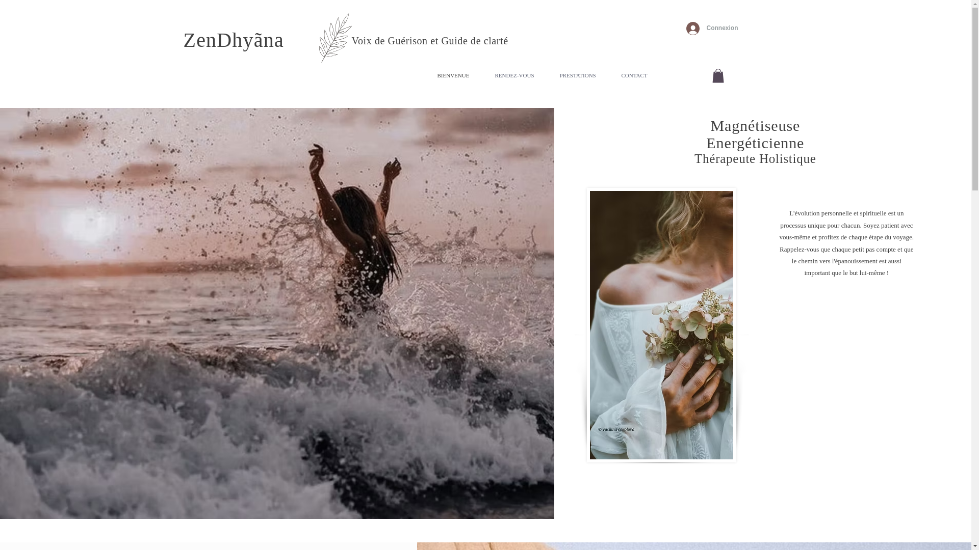 website screenshot of https://zendhyana.fr/