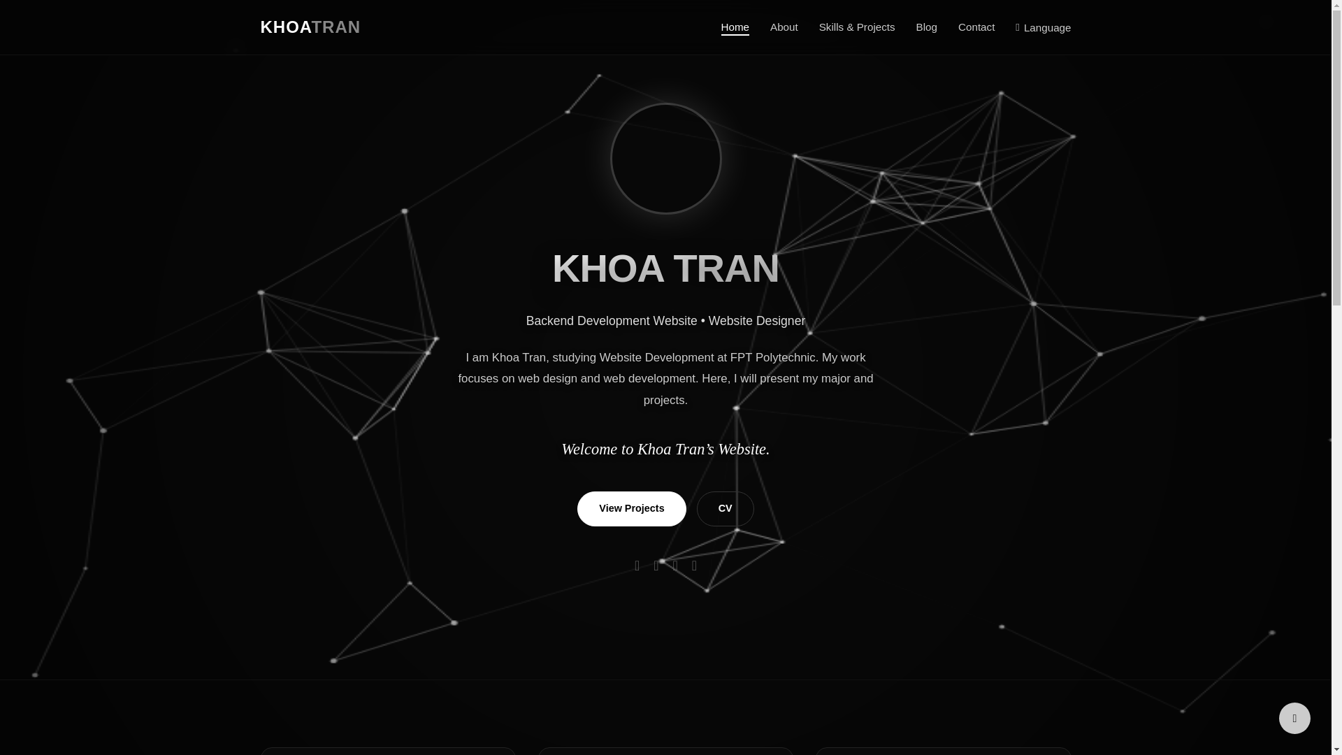 website screenshot of https://vietkhoa.tech/