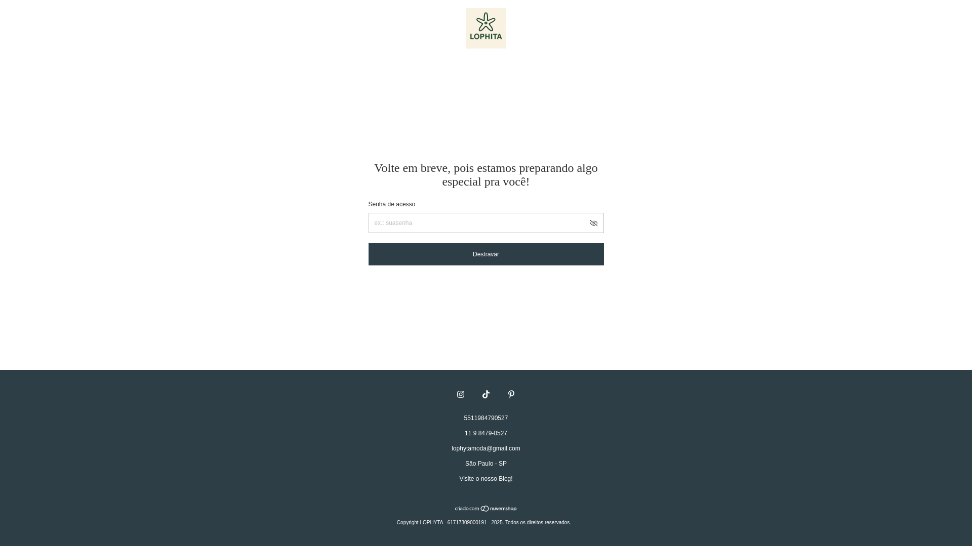 website screenshot of https://lophyta.com.br/