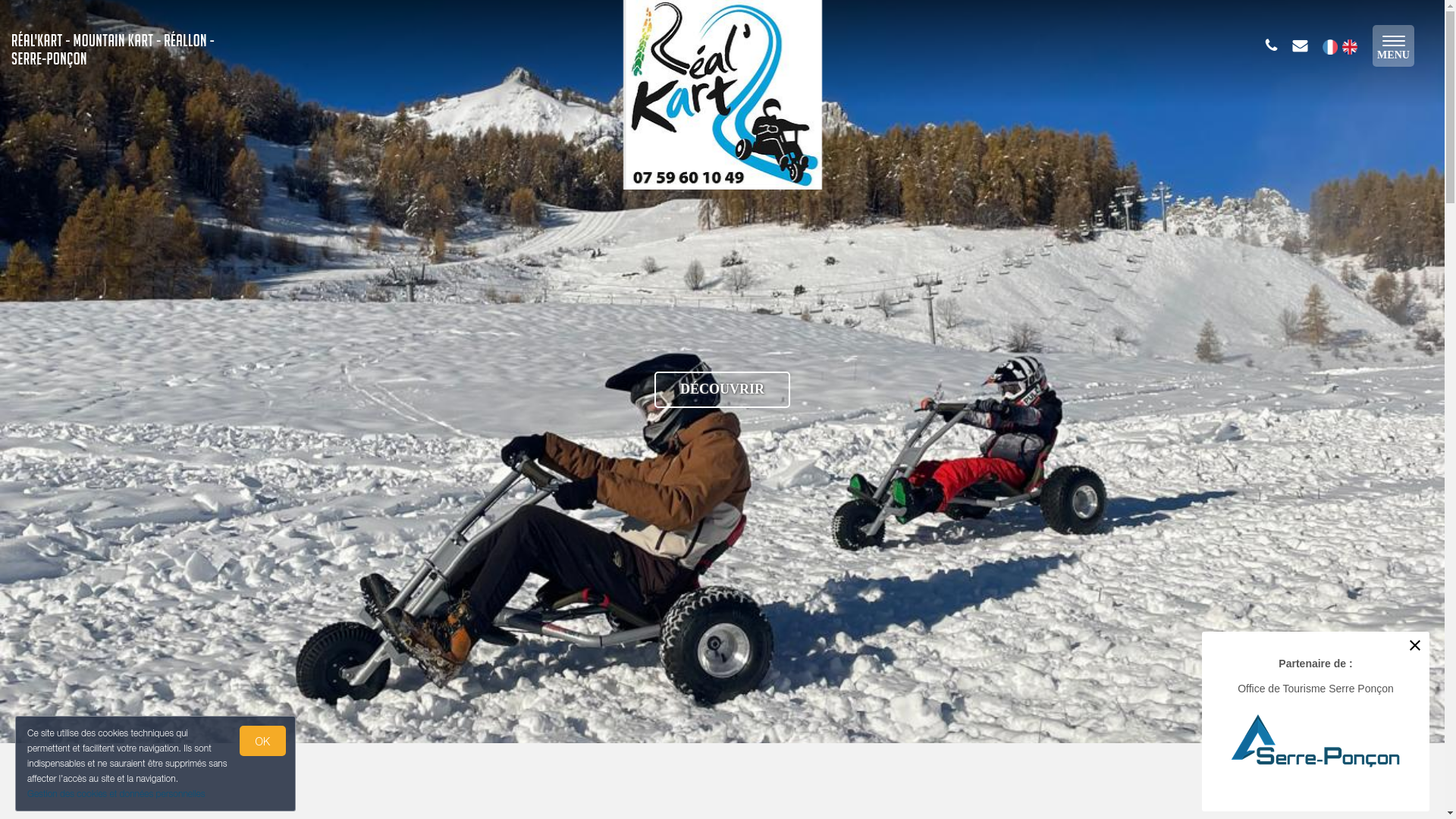 website screenshot of https://realkart.fr/