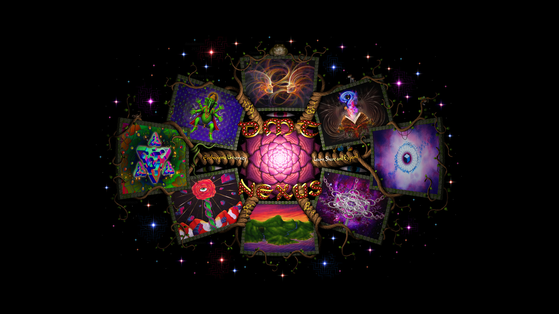 website screenshot of http://www.dmt-nexus.me/