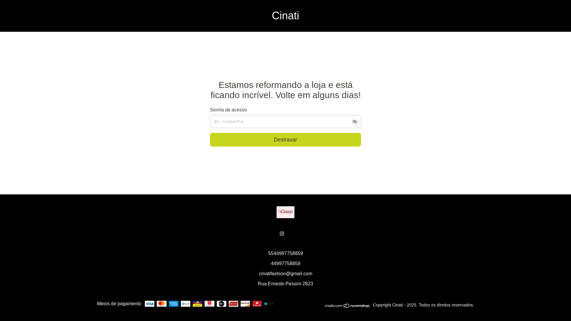 website screenshot of https://cinatistore.com.br/
