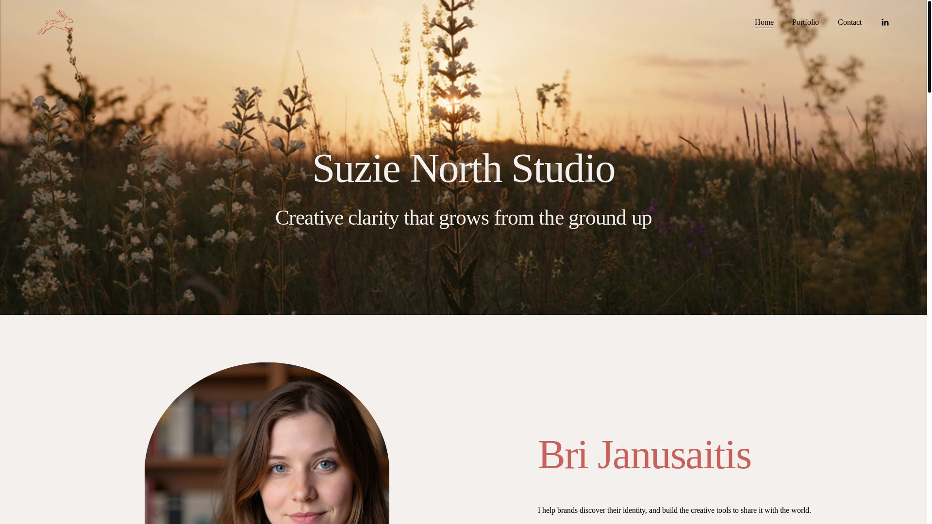website screenshot of https://brijanusaitis.com/
