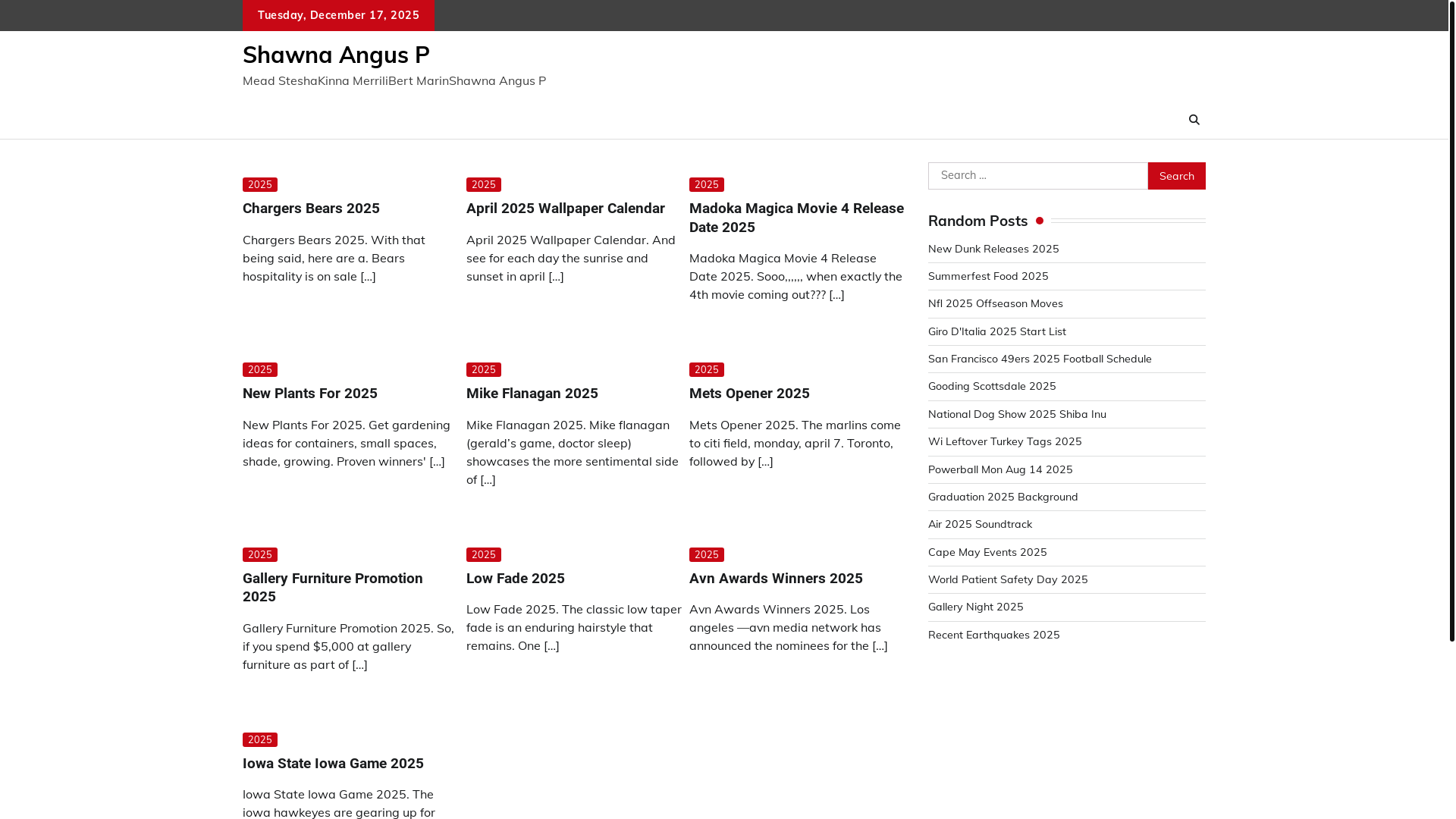 website screenshot of https://shawnaangusp.pages.dev/