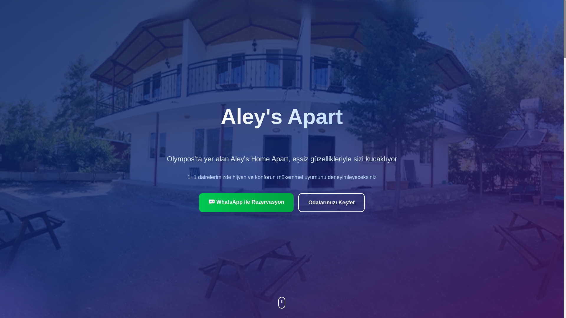 website screenshot of https://aleyshomeapart.com/