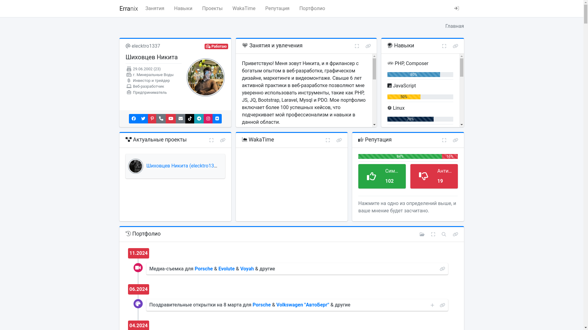 website screenshot of https://elecktro1337.ru/