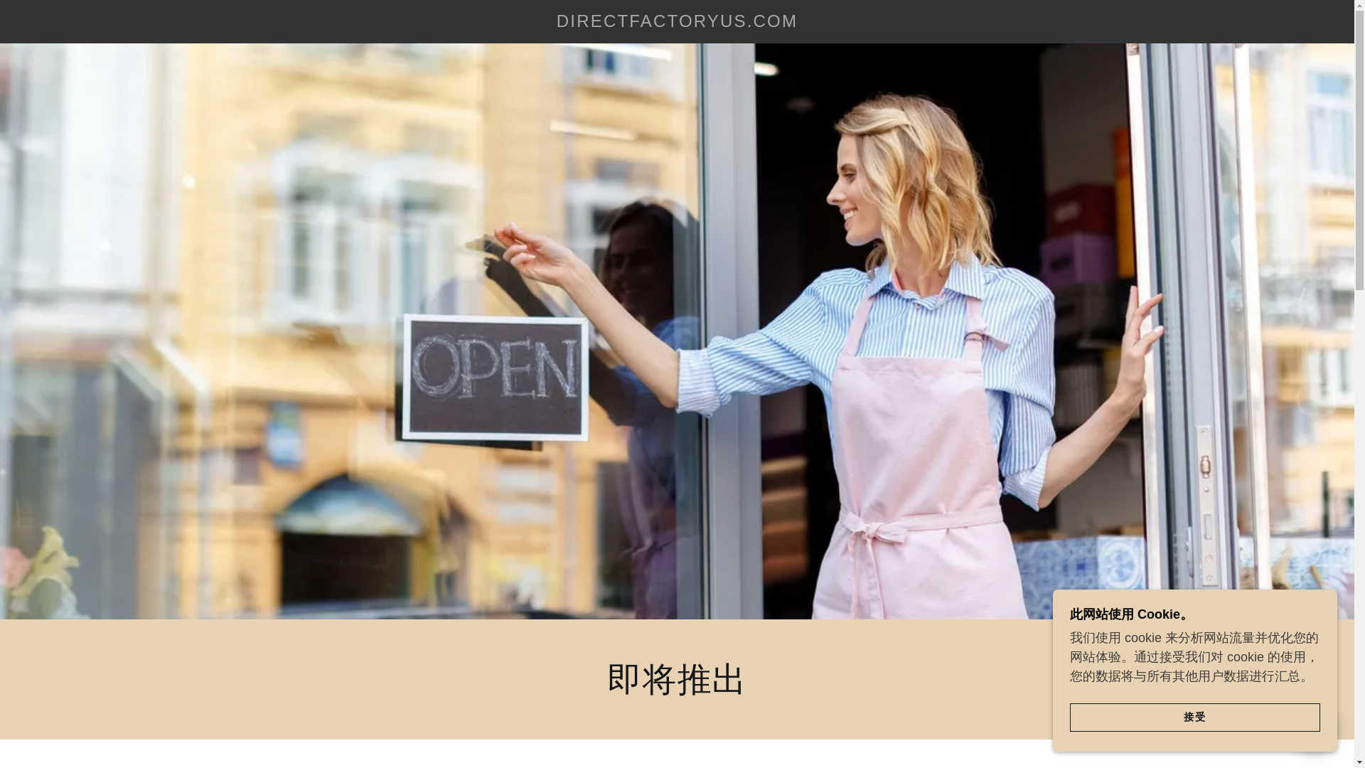 website screenshot of https://directfactoryus.com/