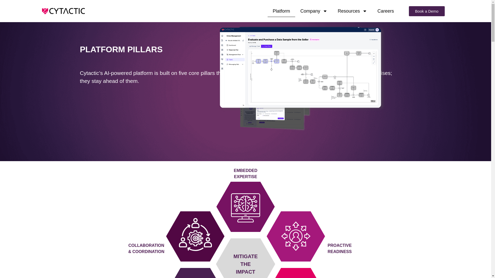 website screenshot of https://cytactic.pages.dev/