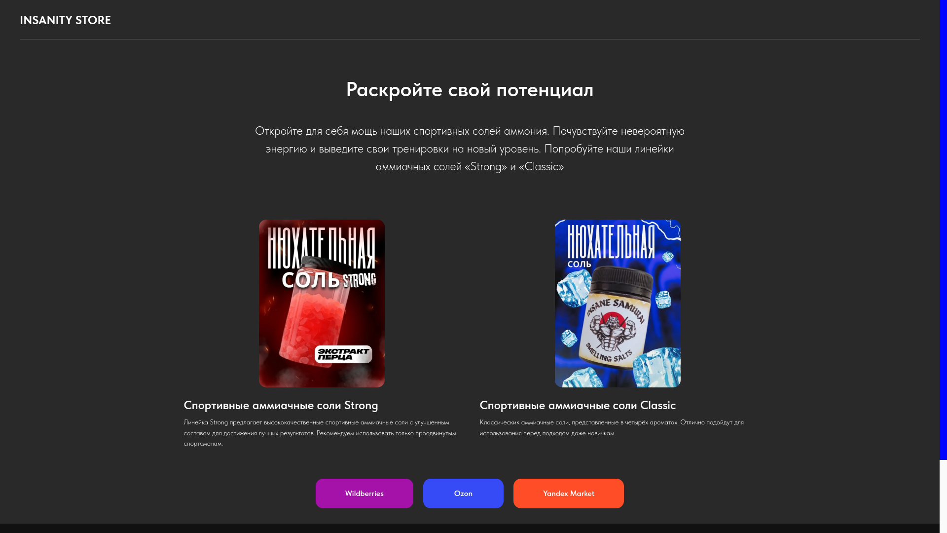 website screenshot of https://insanitystore.ru/