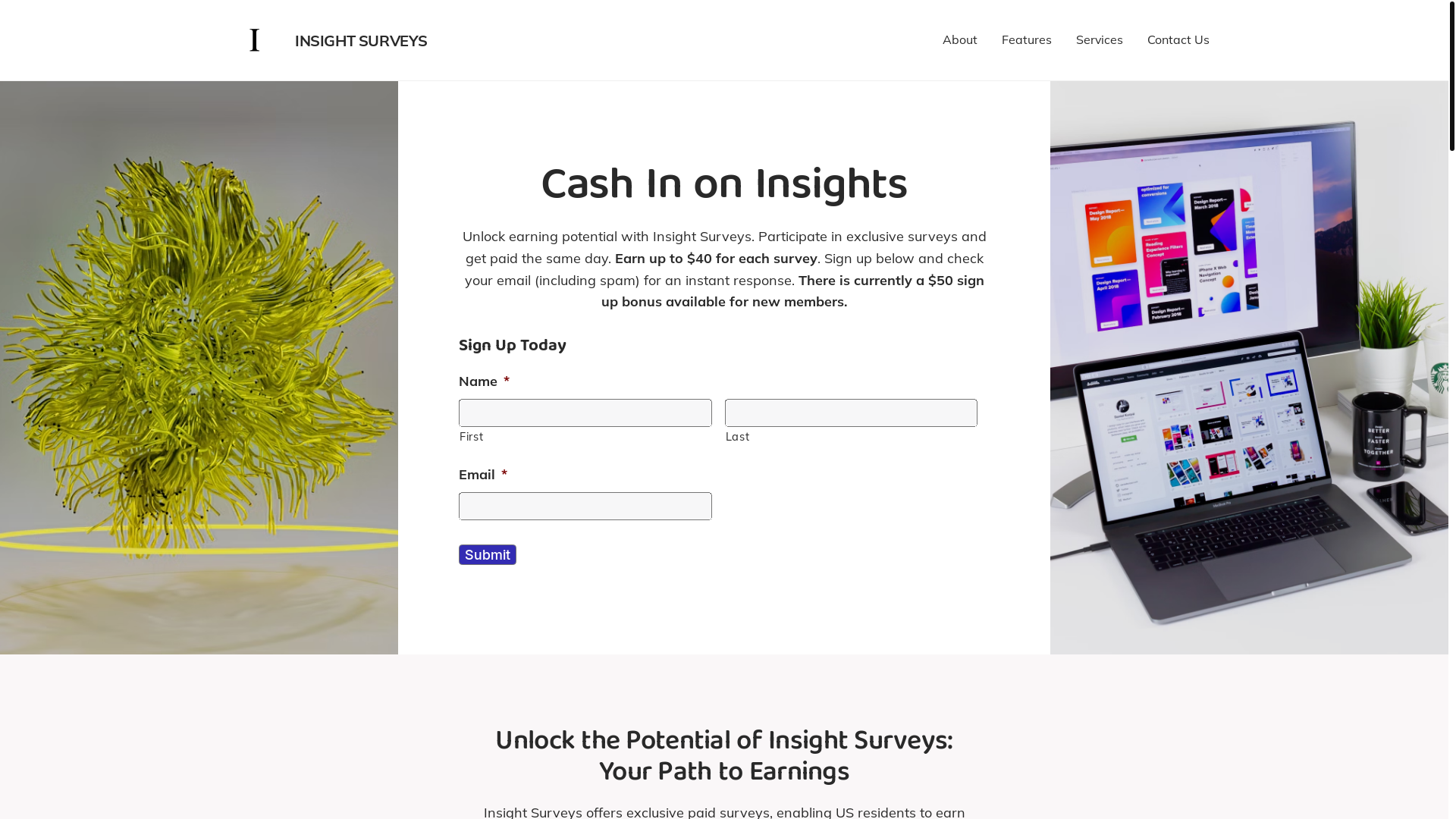 website screenshot of https://insightsurveys.pro/