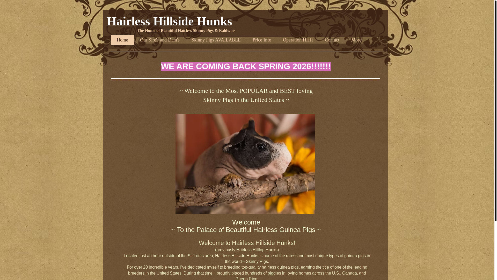 website screenshot of https://hairlesshillsidehunks.com/
