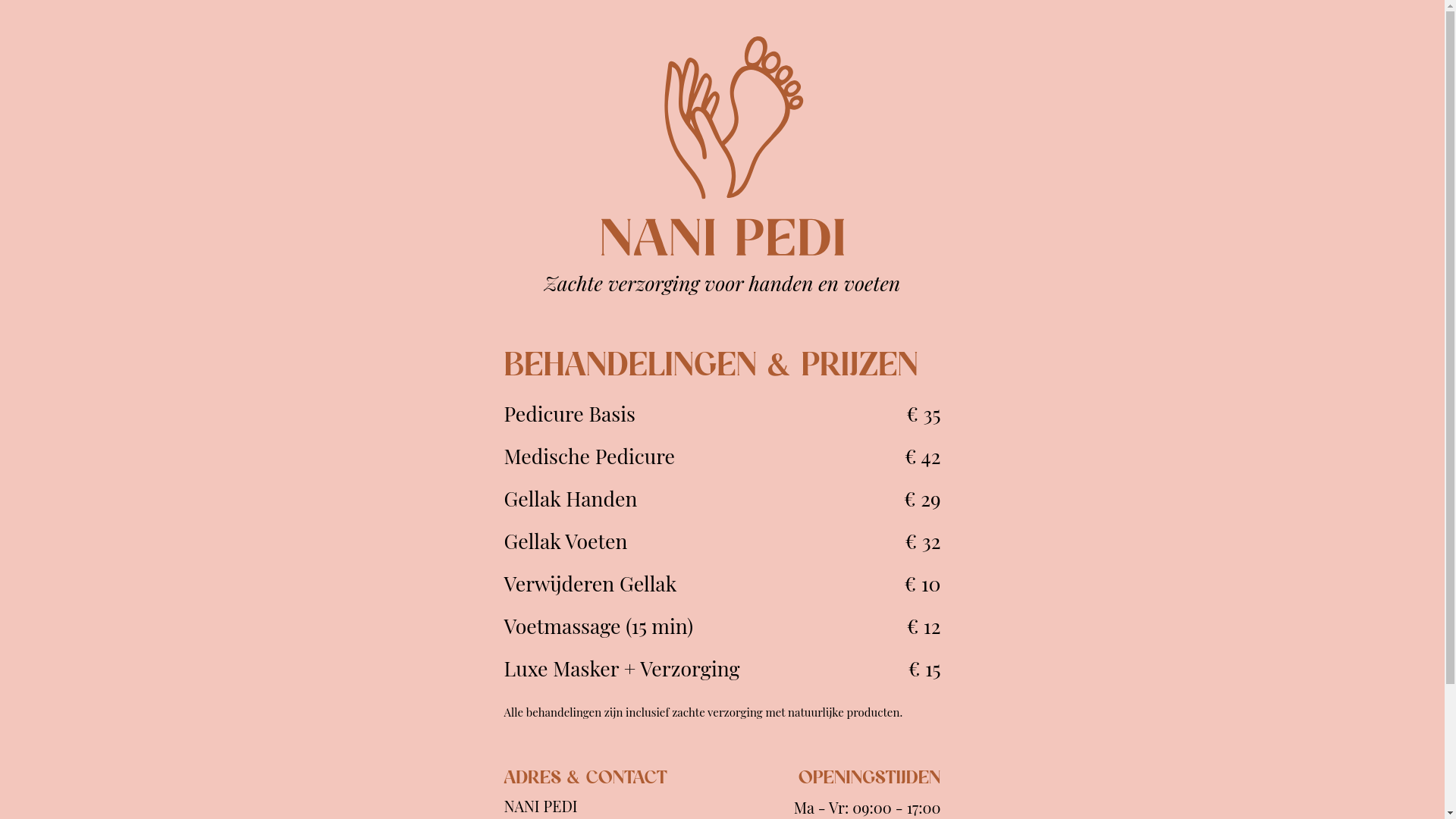 website screenshot of https://nanipedi.nl/