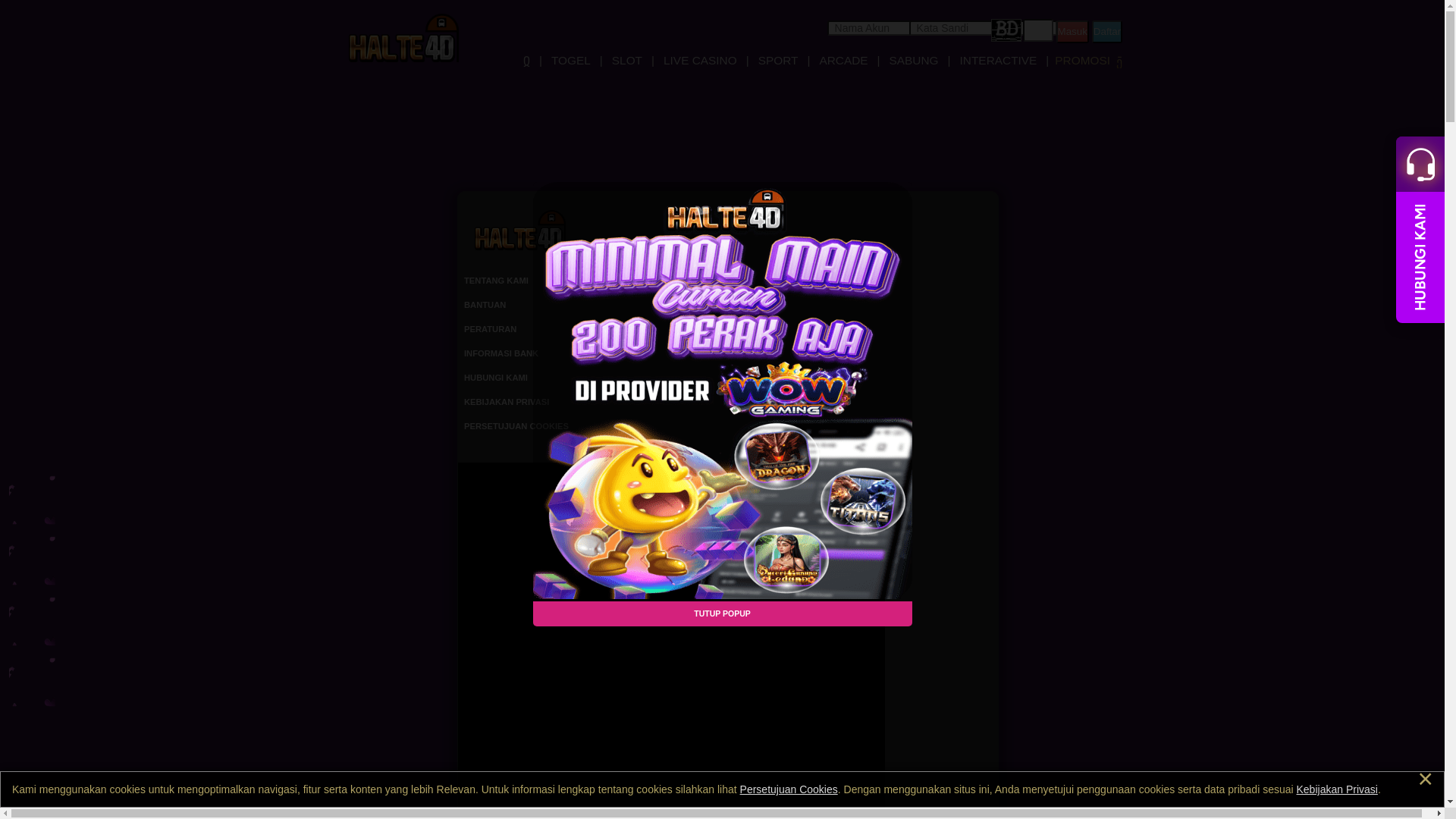 website screenshot of https://halte4d-doc.site/