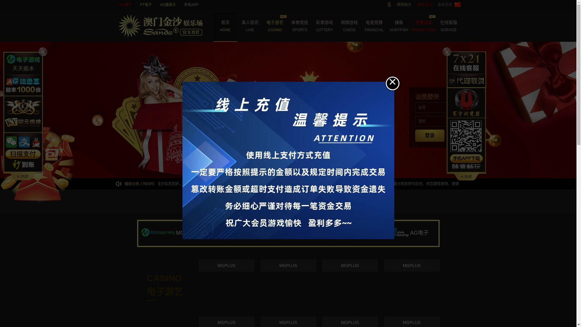 website screenshot of https://774868.com:8989/