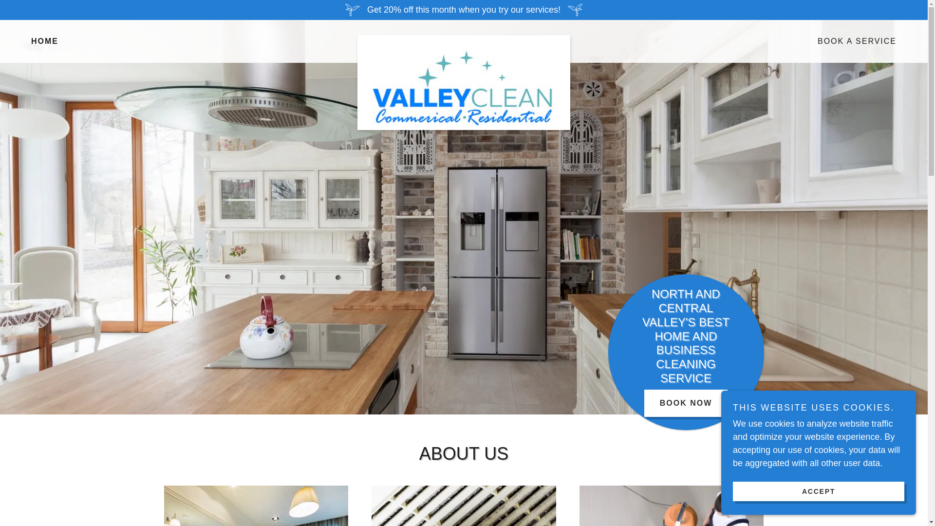 website screenshot of https://valleyclean.us/
