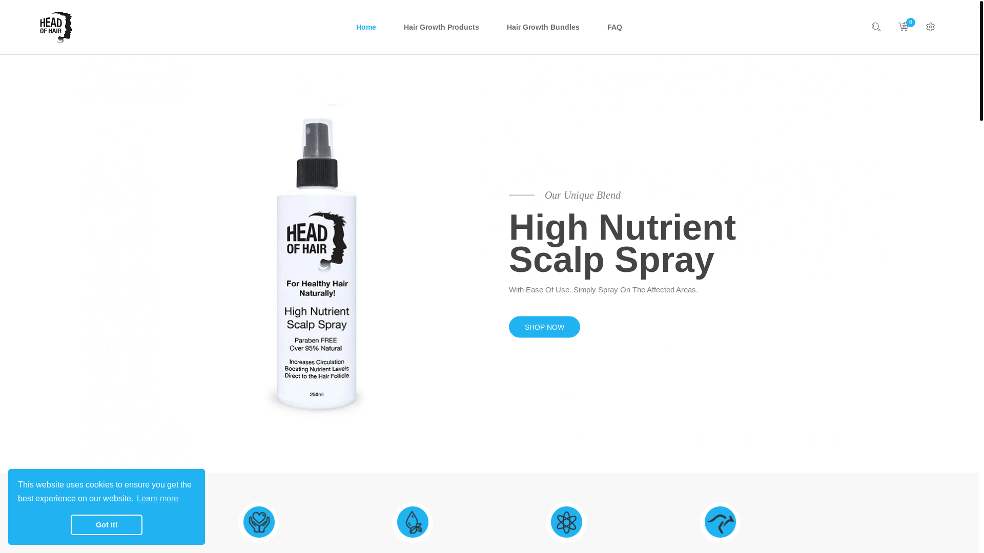 website screenshot of https://headofhair.online/