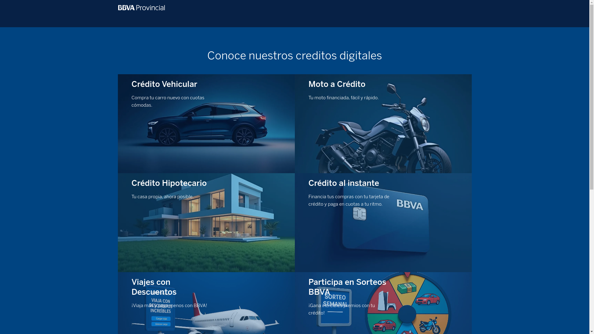 website screenshot of https://provinetpromociones.online/