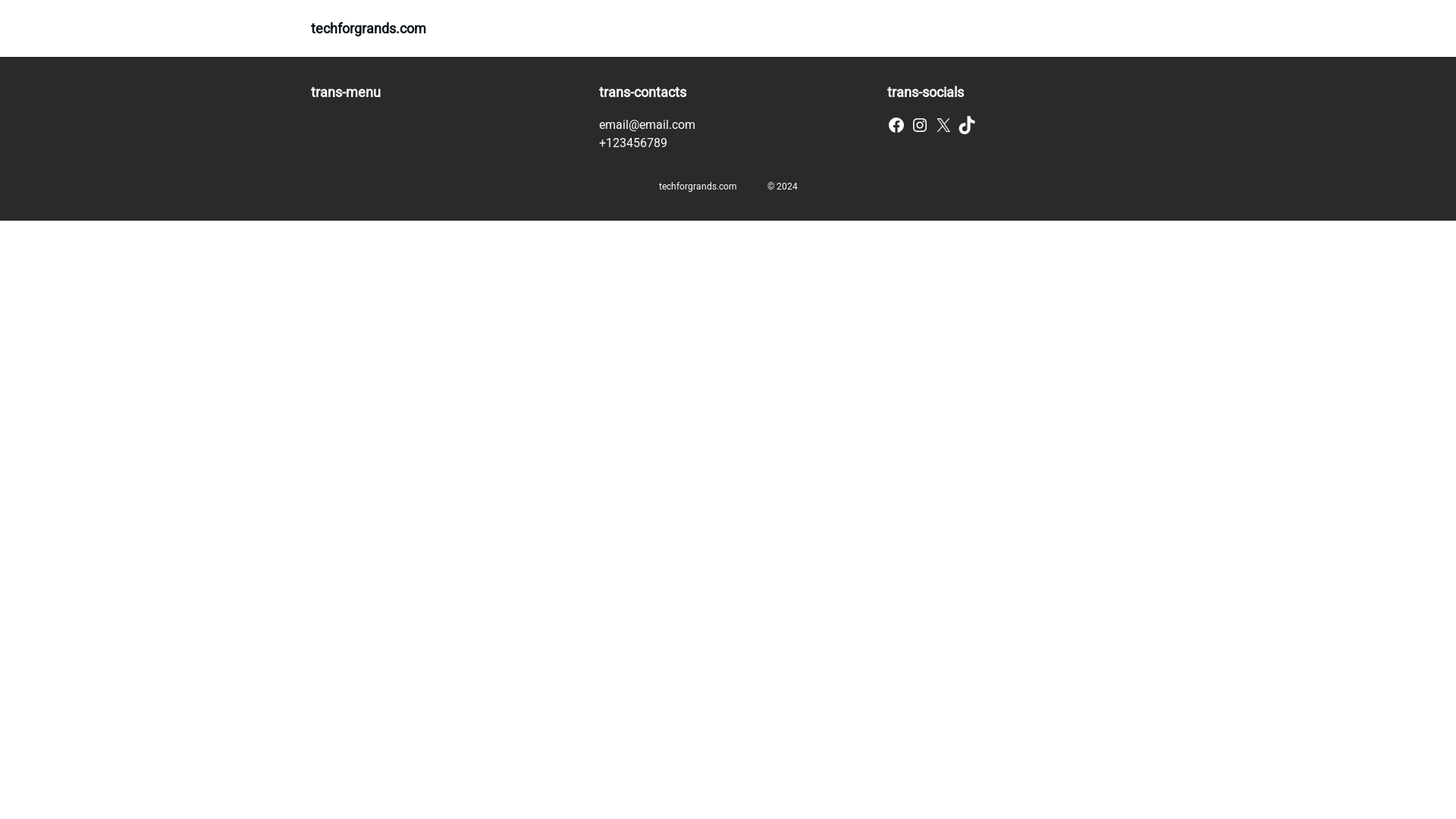 website screenshot of https://techforgrands.com/