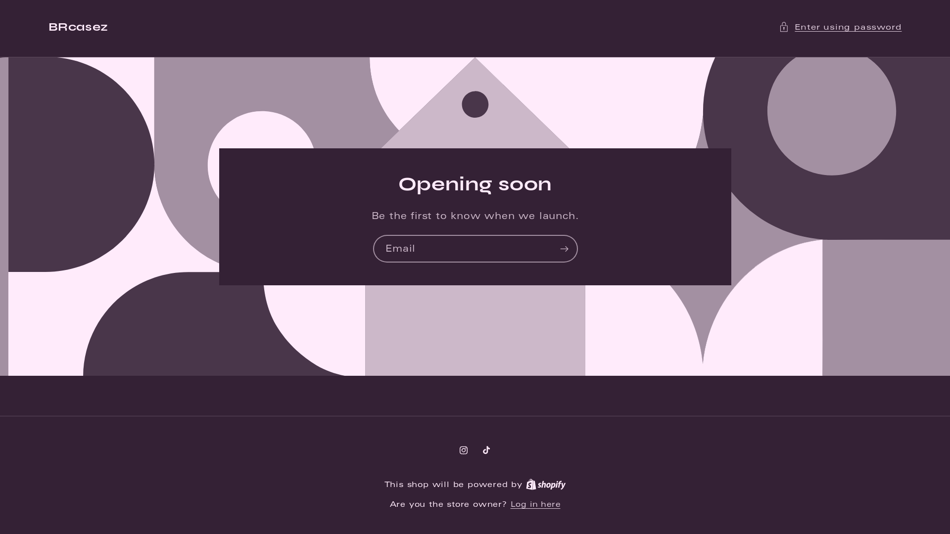 website screenshot of https://brcasez.com/