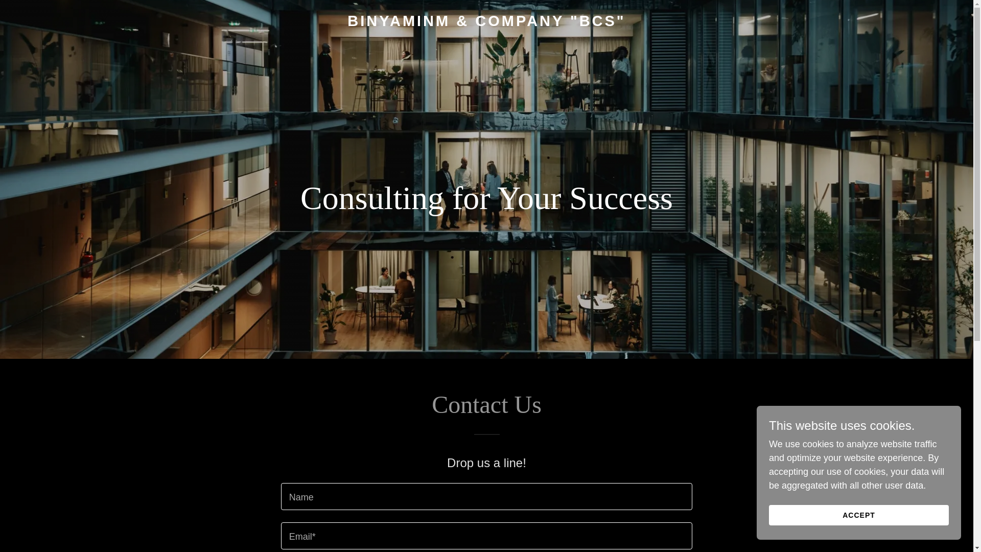 website screenshot of https://binyaminm.com/