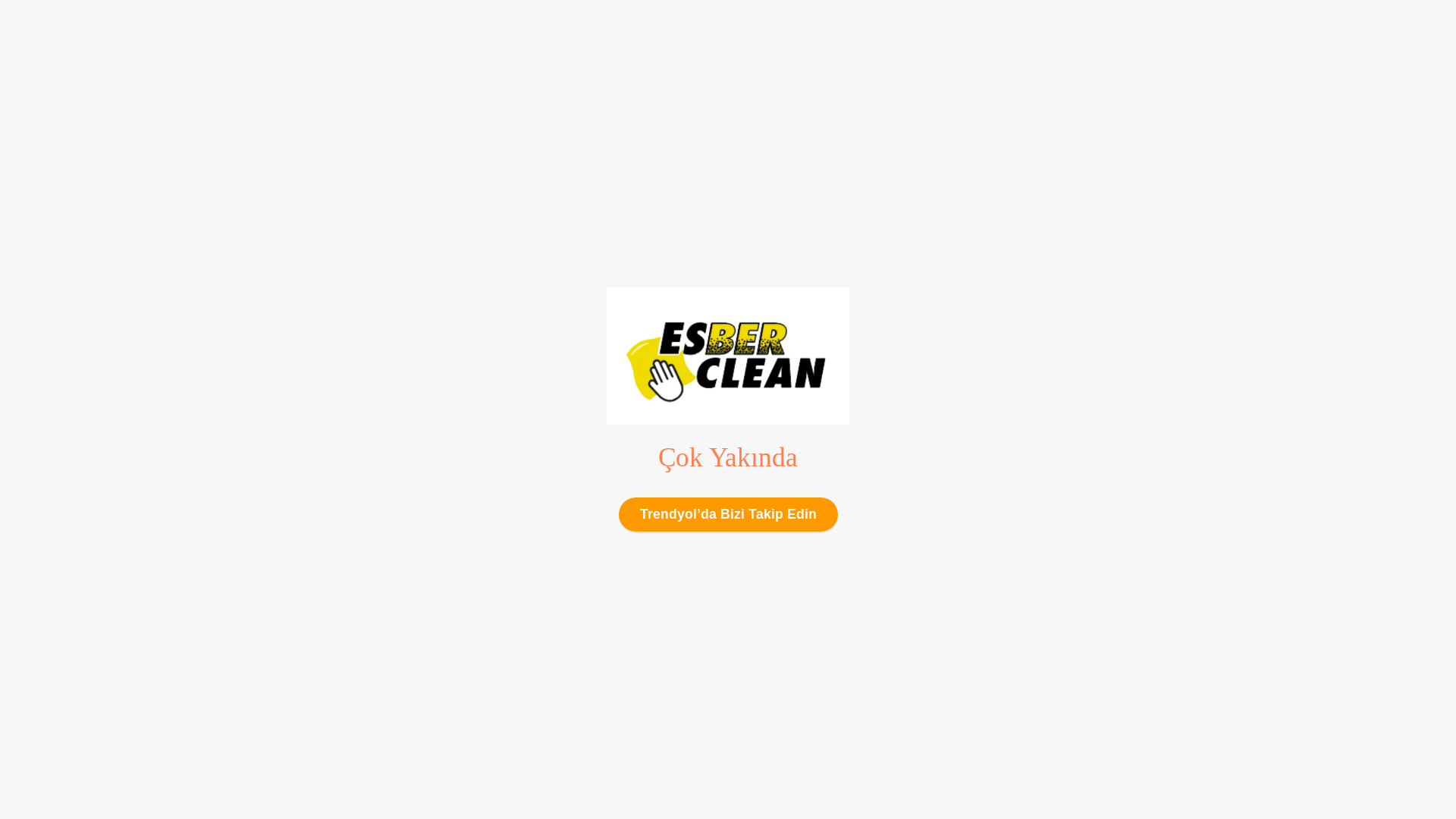 website screenshot of https://esberclean.com.tr/