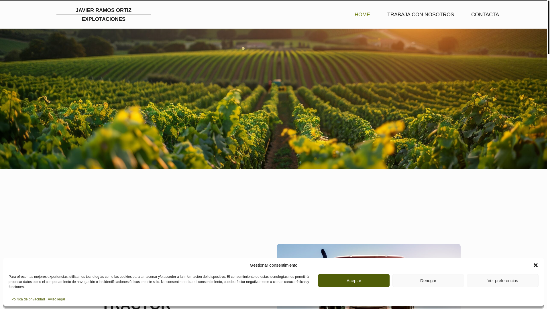 website screenshot of https://explotacionesortizcarranza.ovh/