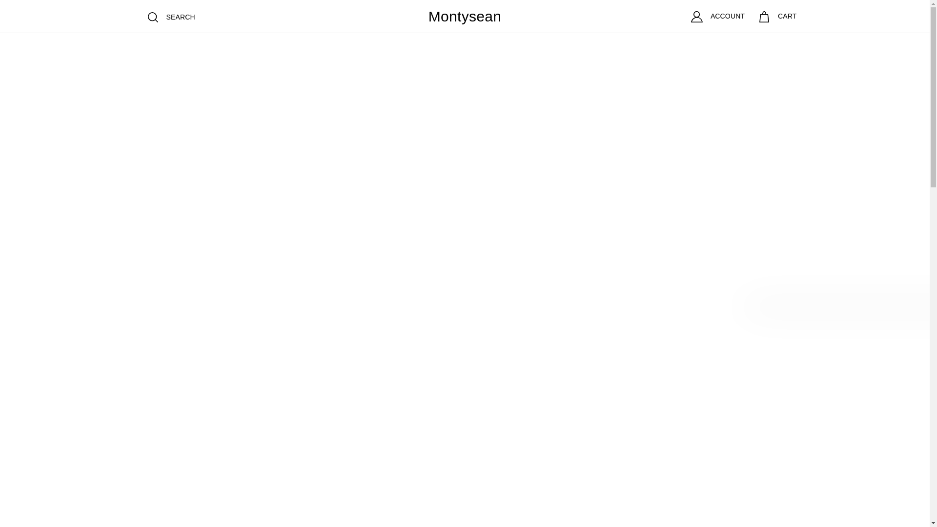 website screenshot of https://montysean.com/
