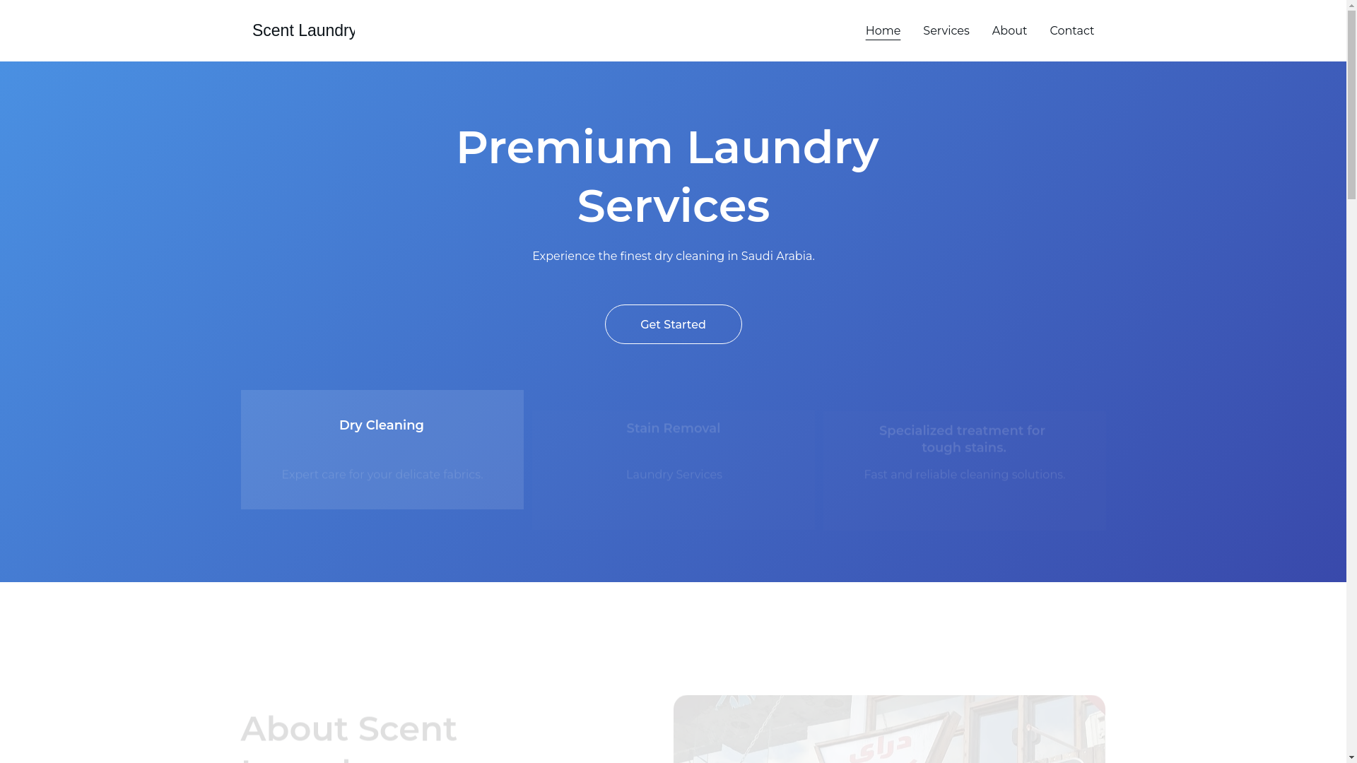 website screenshot of https://scentdryclean-sa.site/