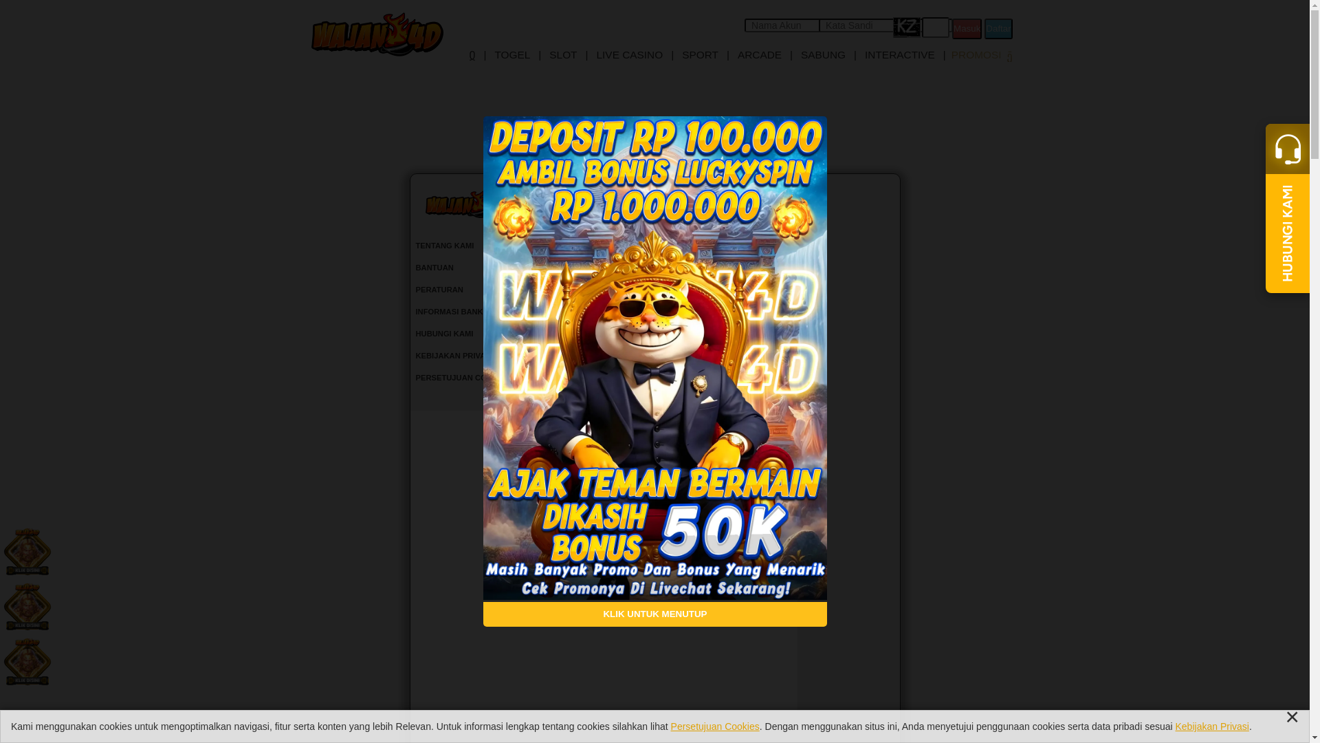 website screenshot of https://husanawjan.info/