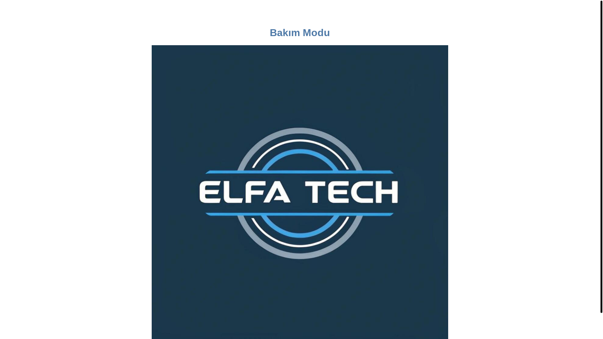 website screenshot of https://elfatech.com.tr/
