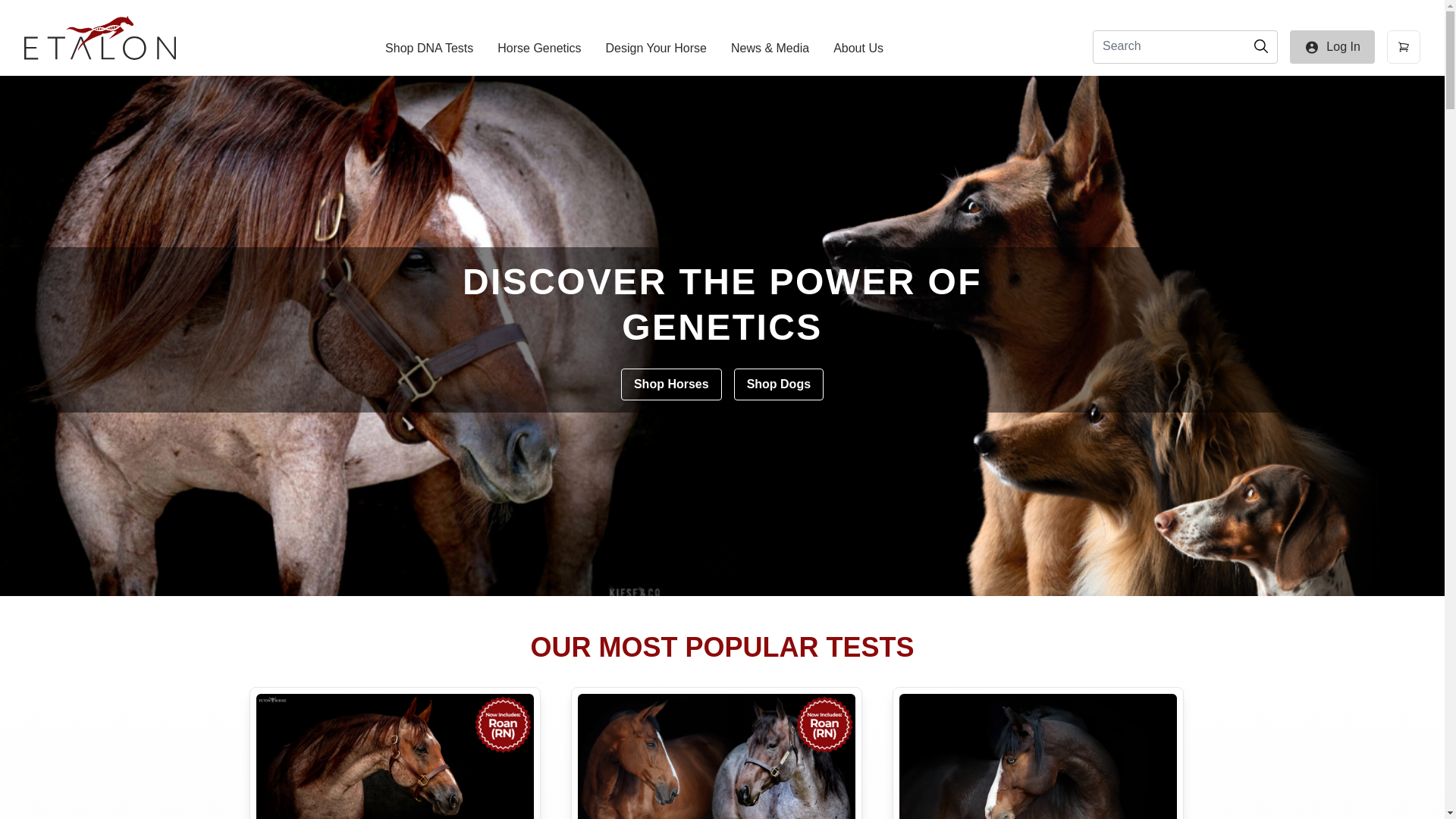 website screenshot of https://etalondxline.info/
