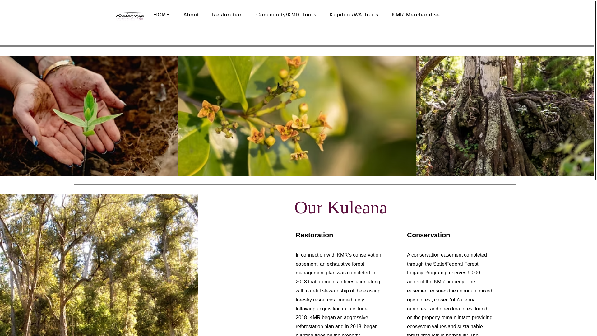 website screenshot of https://kmr-doterra.com/