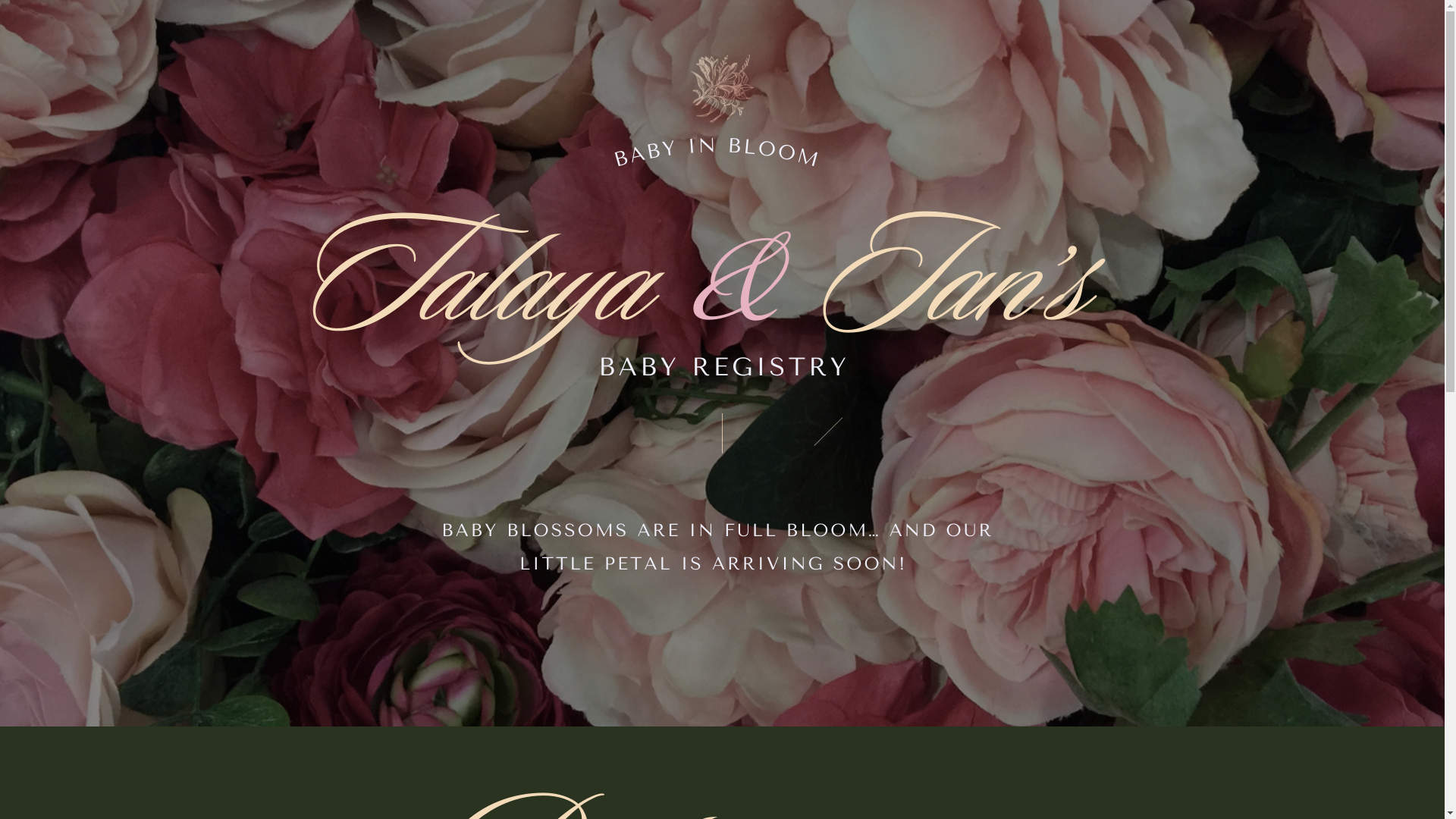 website screenshot of https://talayaandian.com/