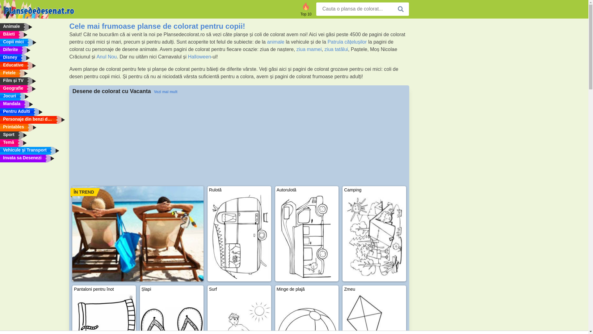 website screenshot of https://www.plansededesenat.ro/