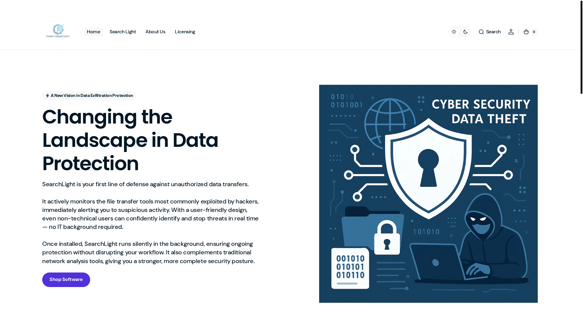 website screenshot of https://towercybersecurityllc.com/