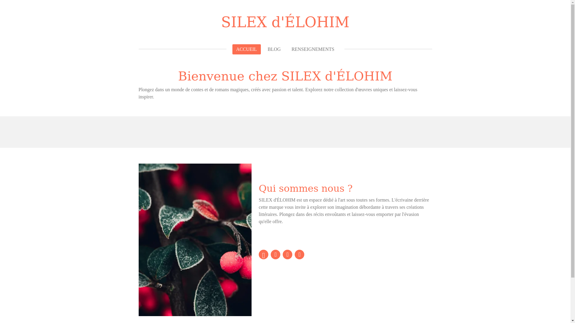 website screenshot of https://silexdelohim.com/
