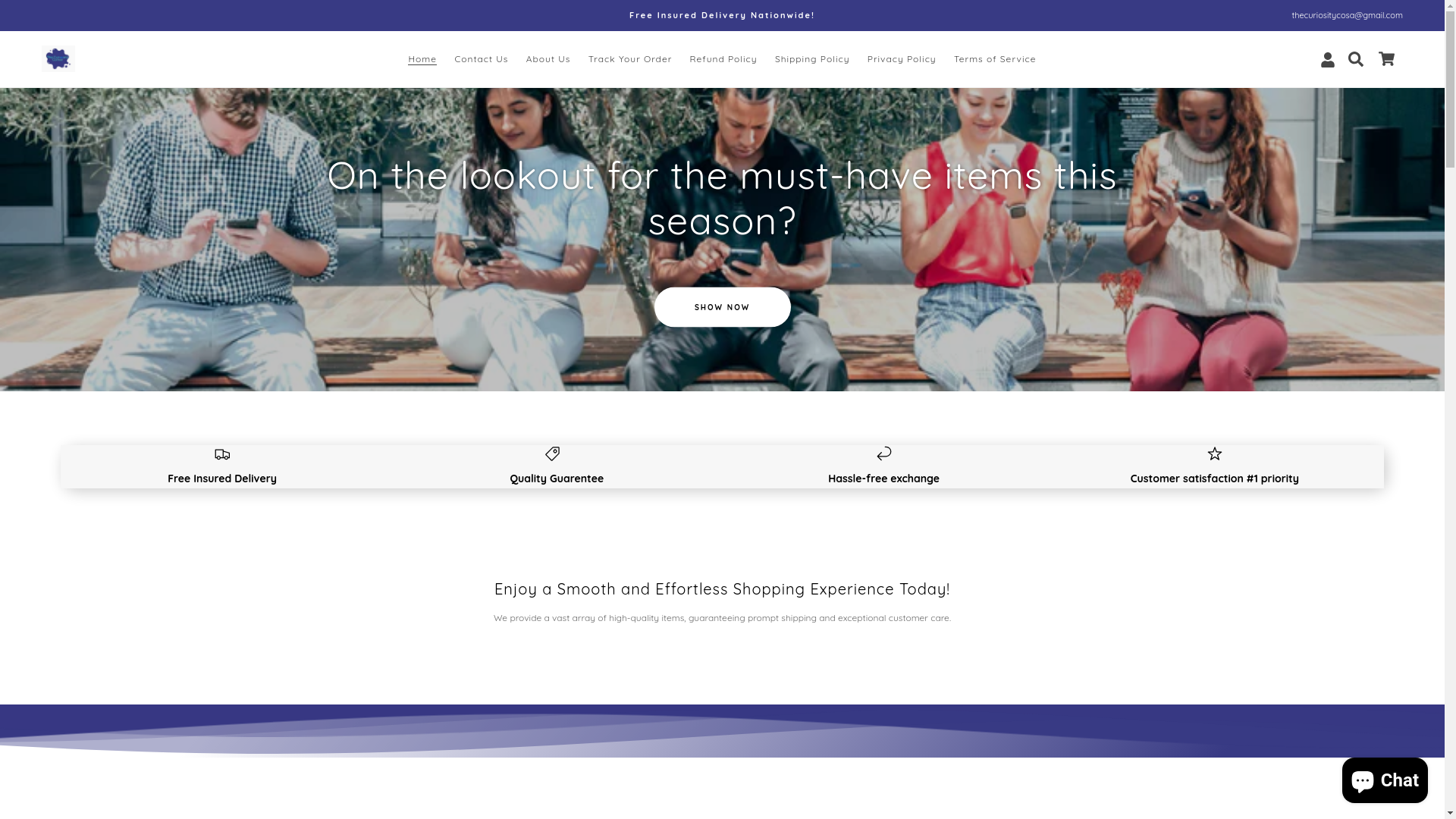 website screenshot of https://thecuriositycorneretcc.com/