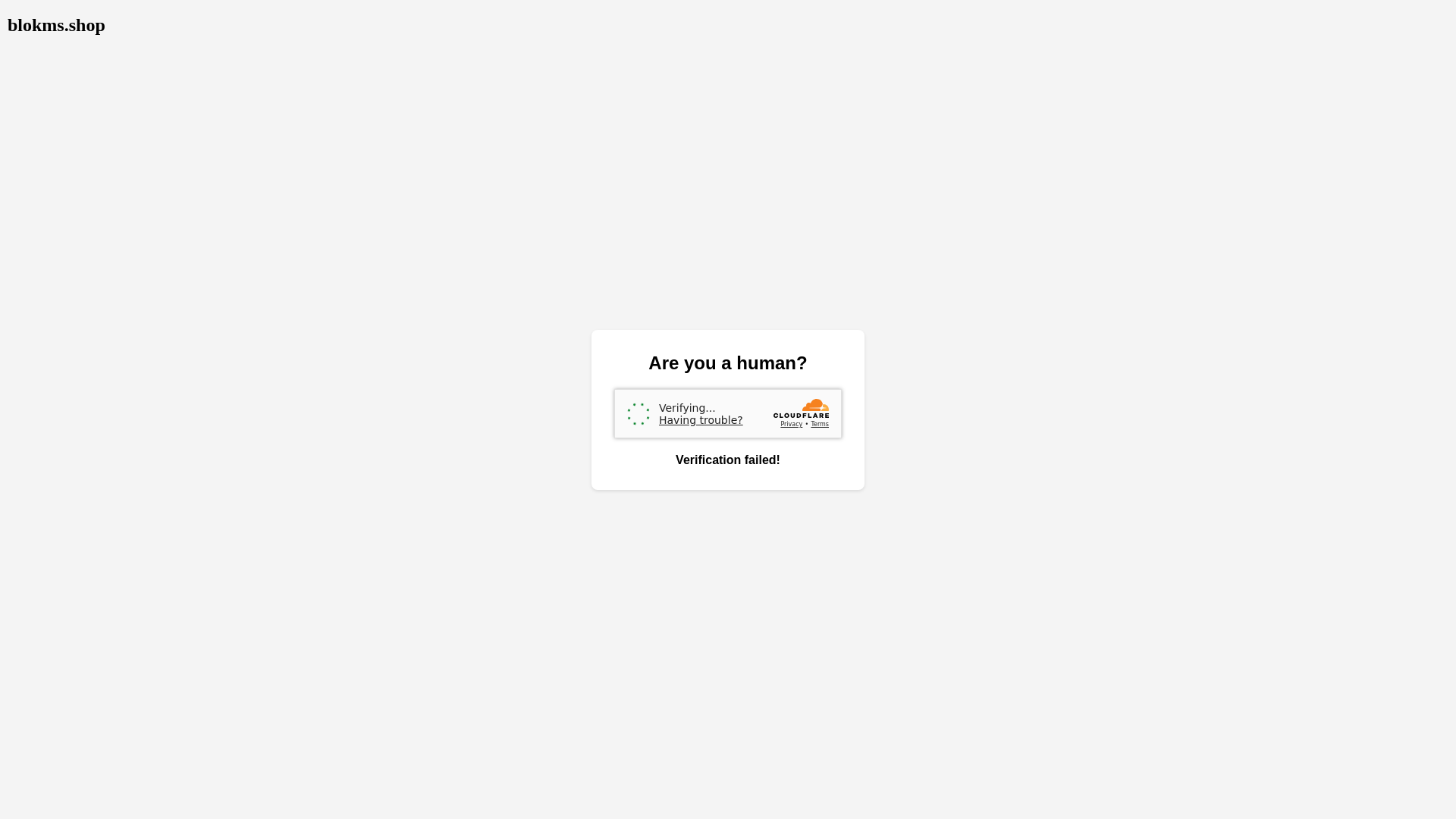 website screenshot of https://blokms.shop/