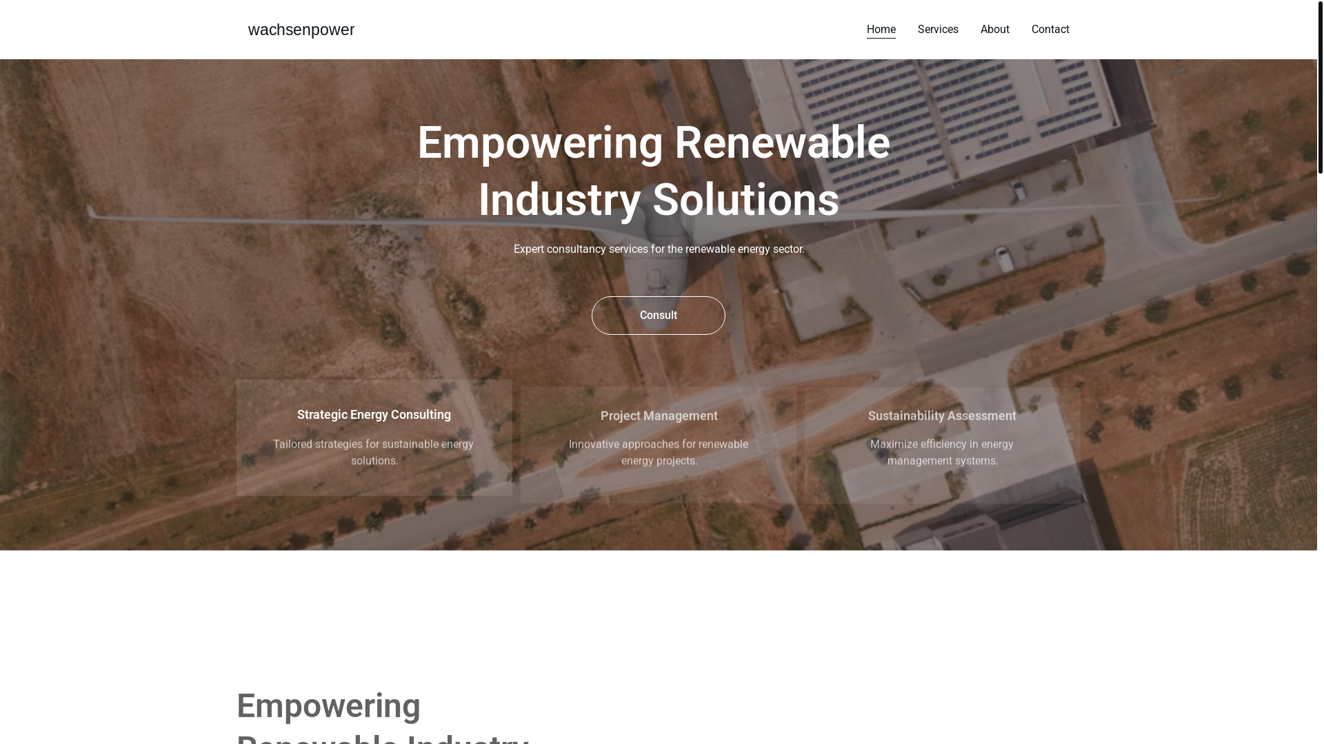 website screenshot of https://wachsenpower.in/