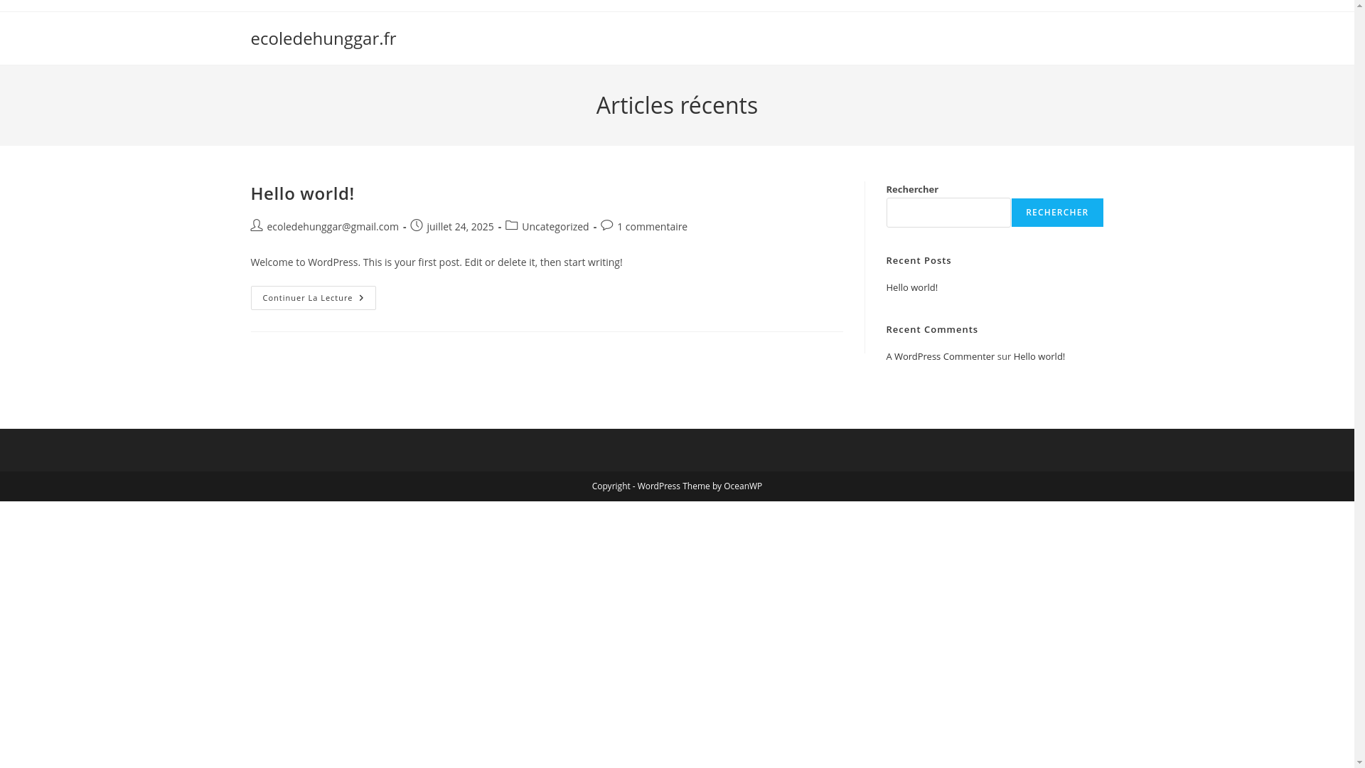 website screenshot of https://ecoledehunggar.fr/