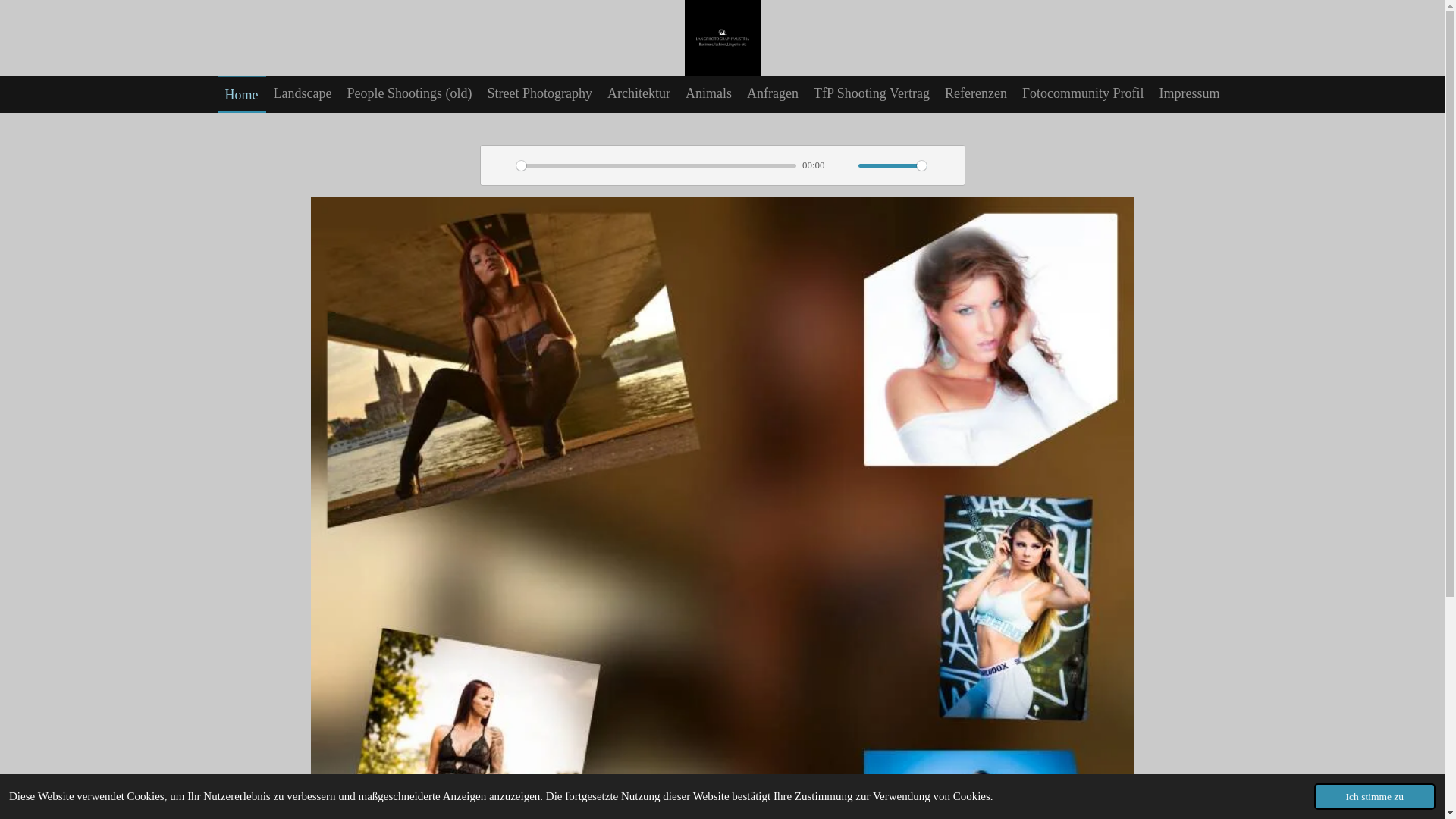 website screenshot of https://langphotographyvienna.com/