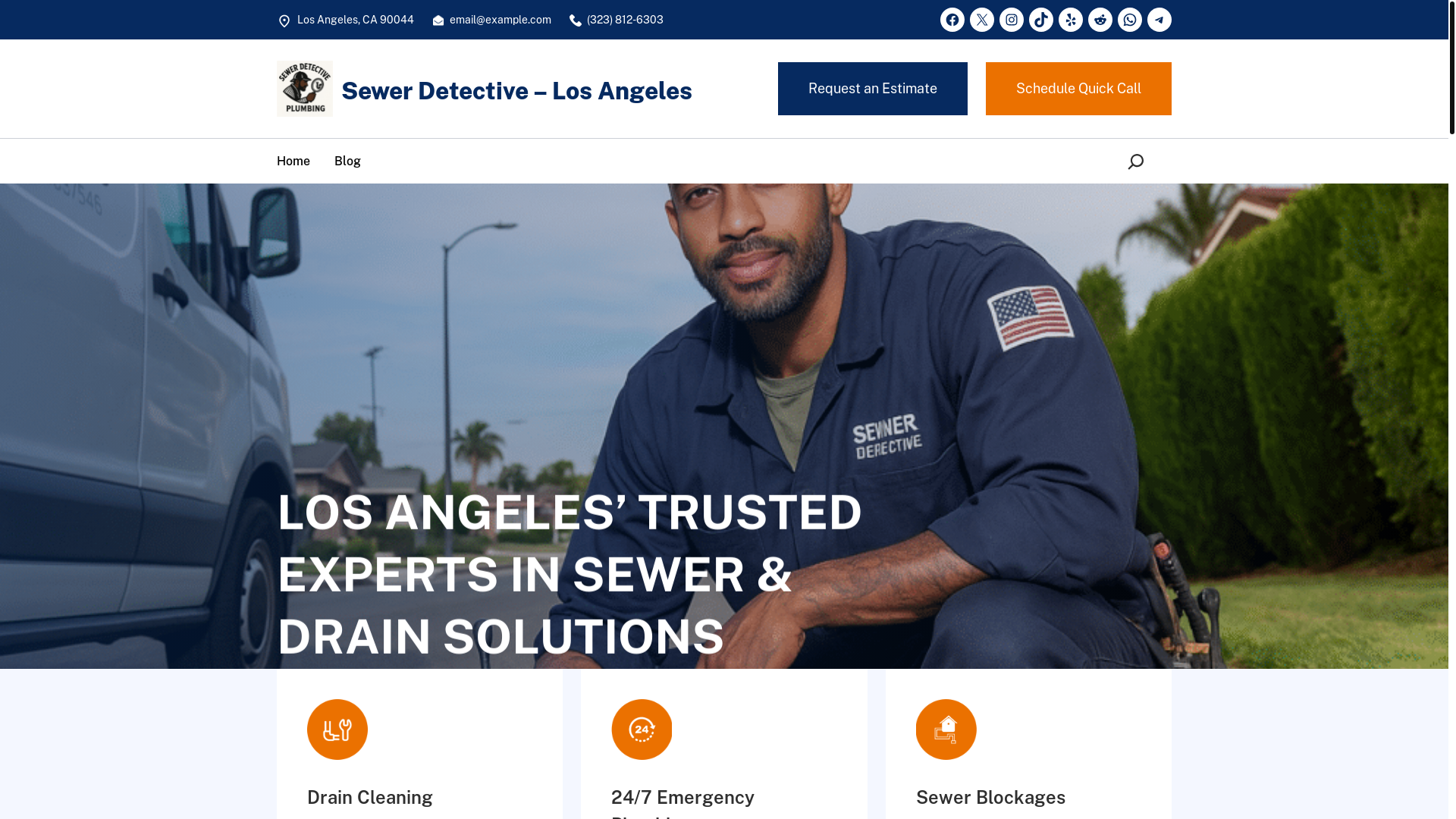 website screenshot of https://sewerdetectiveplumbing.com/