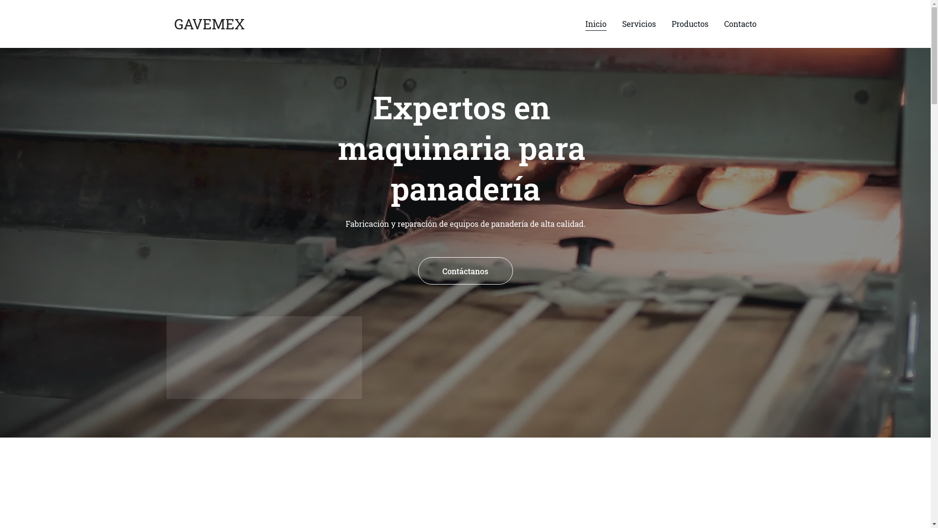 website screenshot of https://gavemex.store/