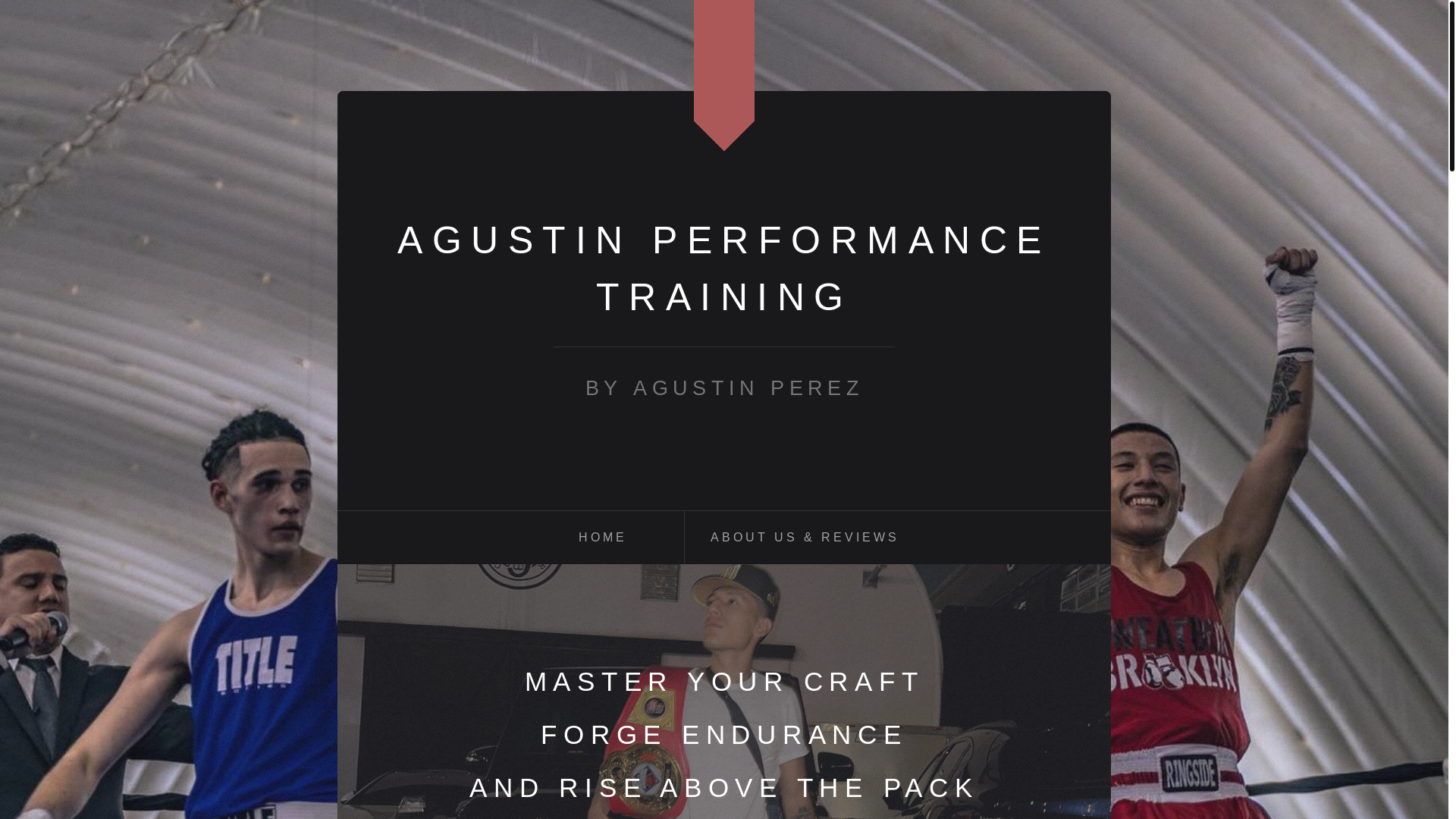 website screenshot of https://aperformancetraining.com/