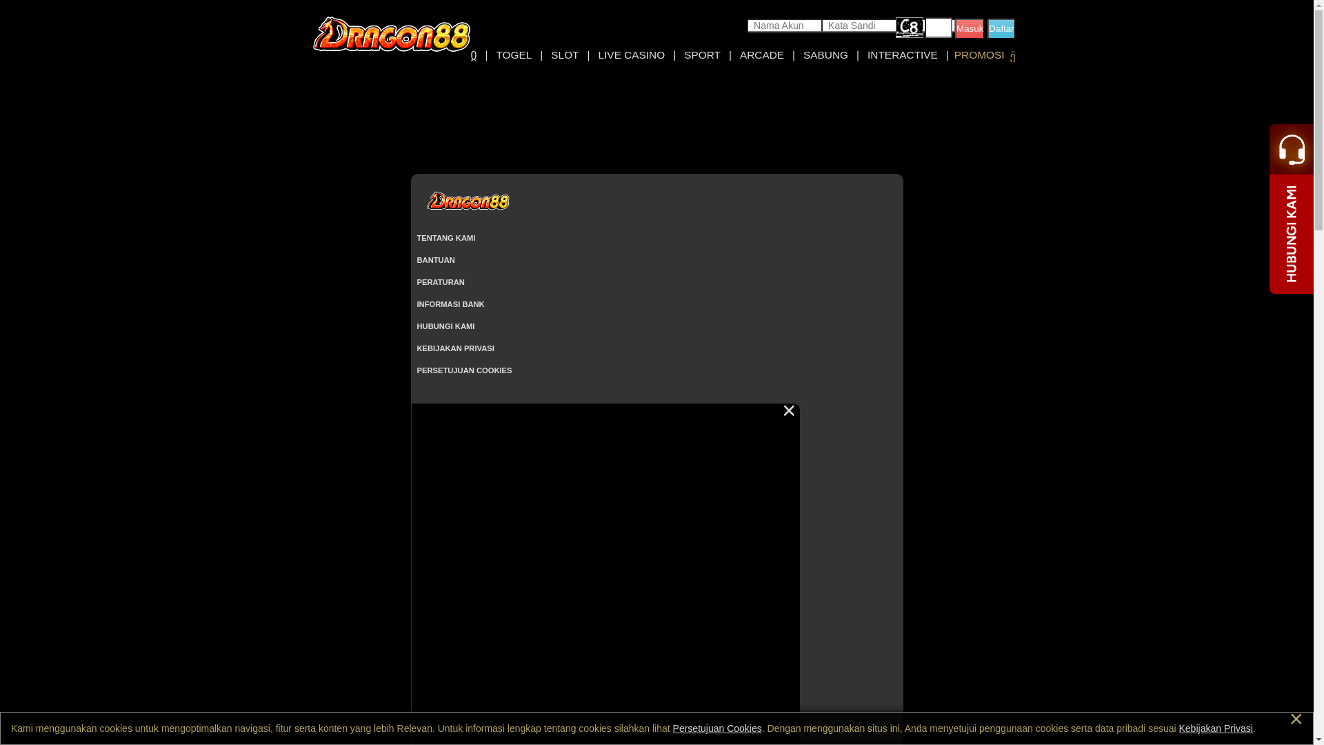 website screenshot of https://dragon88jump9.com/