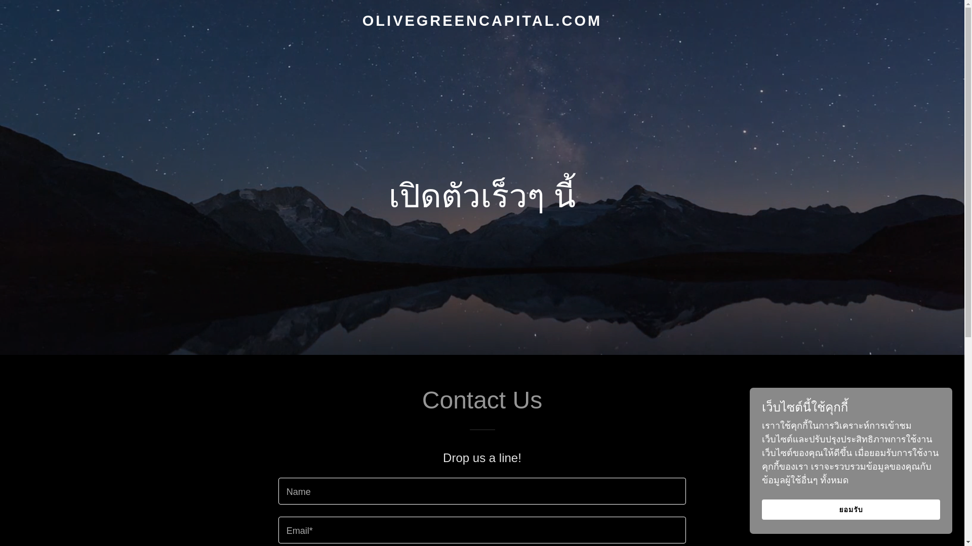 website screenshot of https://olivegreencapital.com/