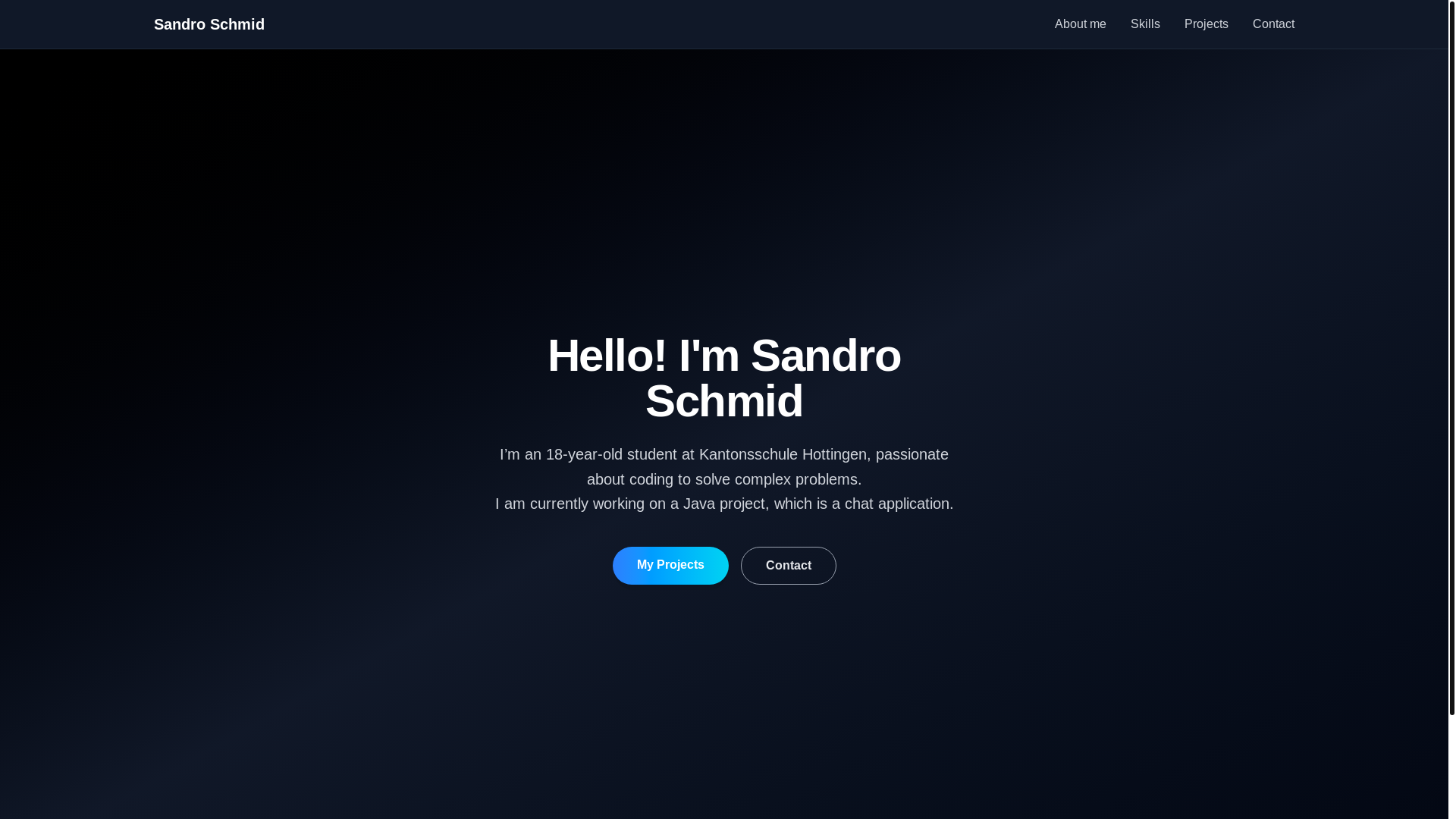 website screenshot of https://schmid-sandro.com/