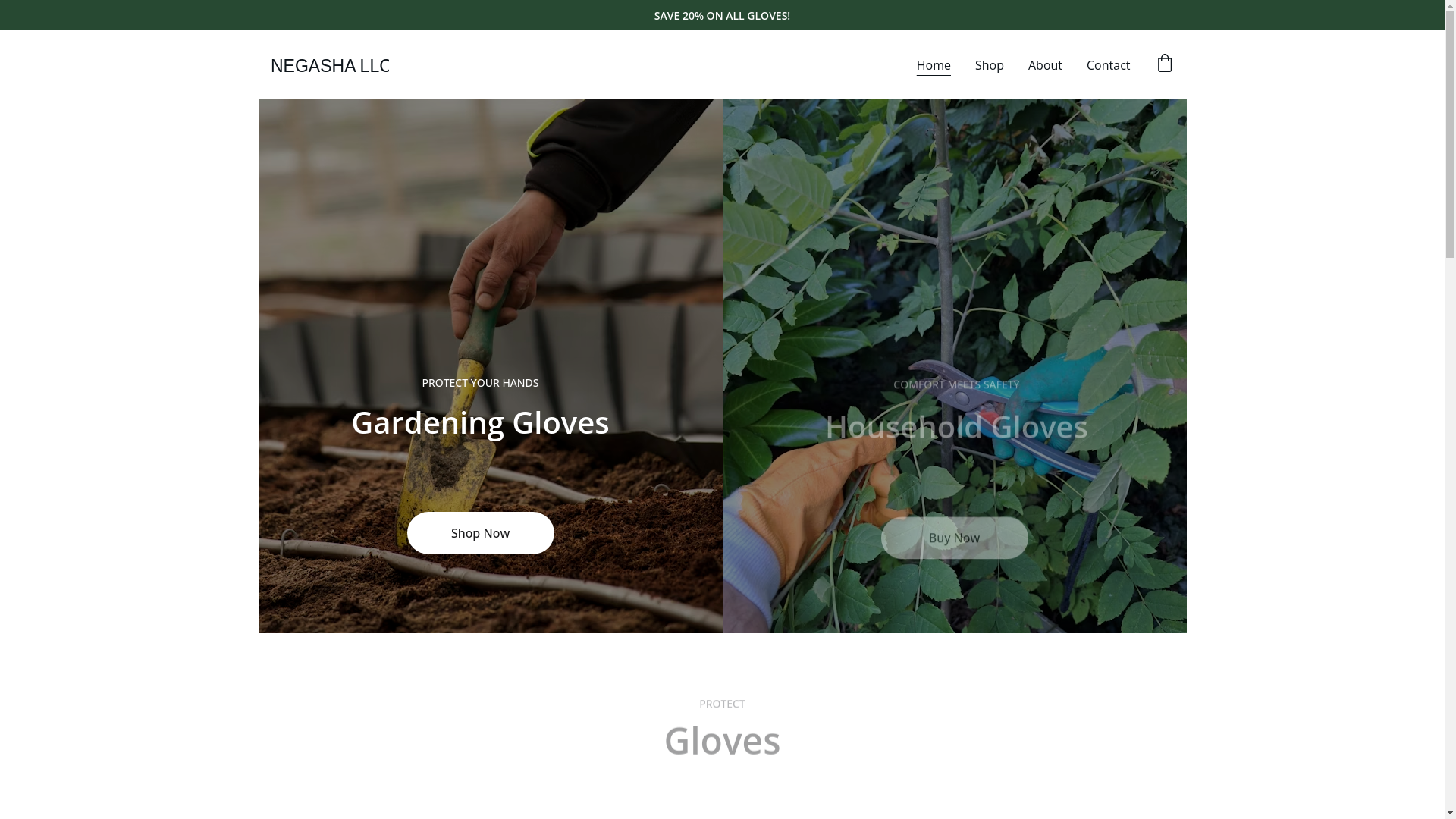 website screenshot of https://negasha.shop/