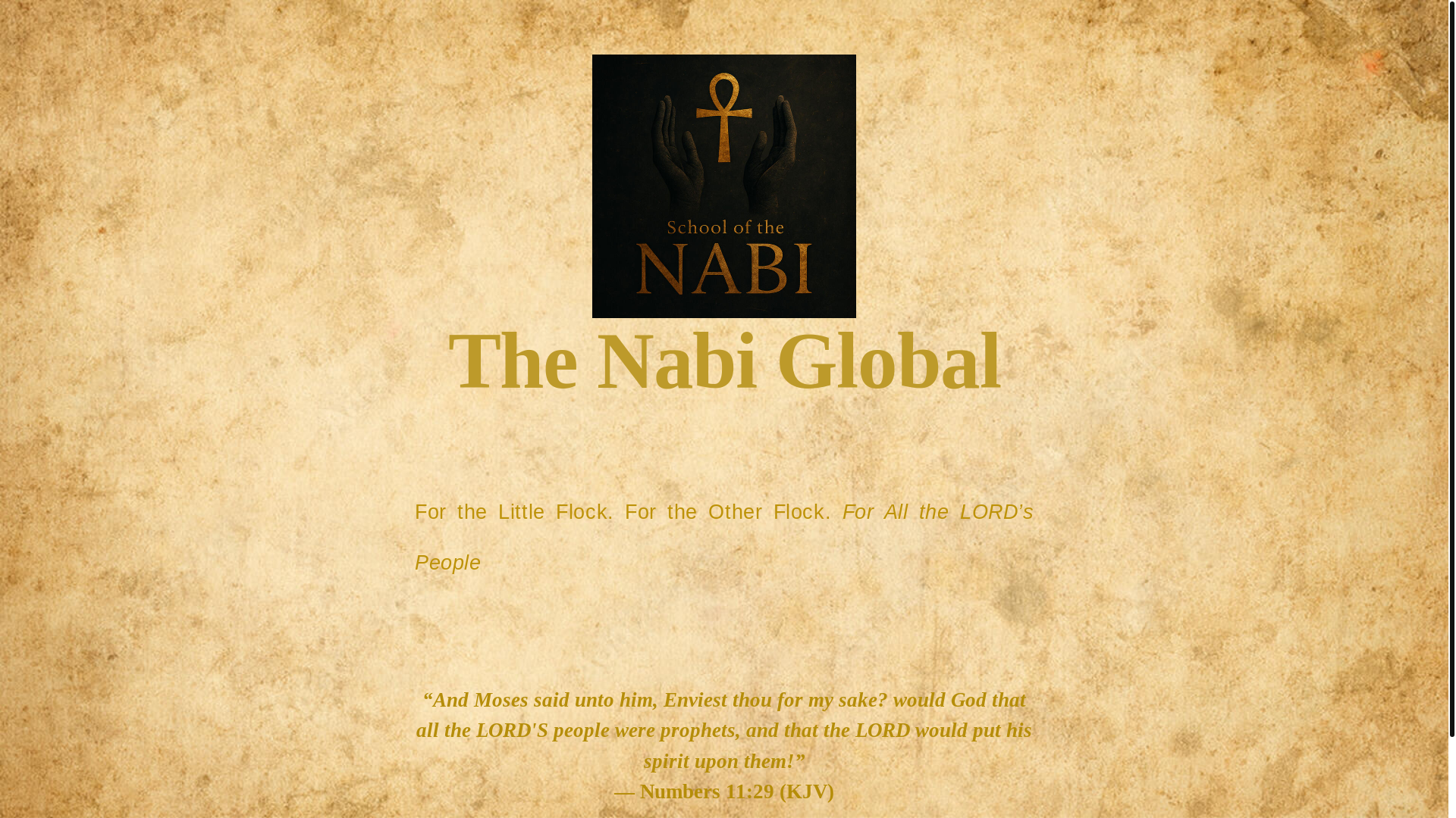 website screenshot of https://thenabiglobal.com/