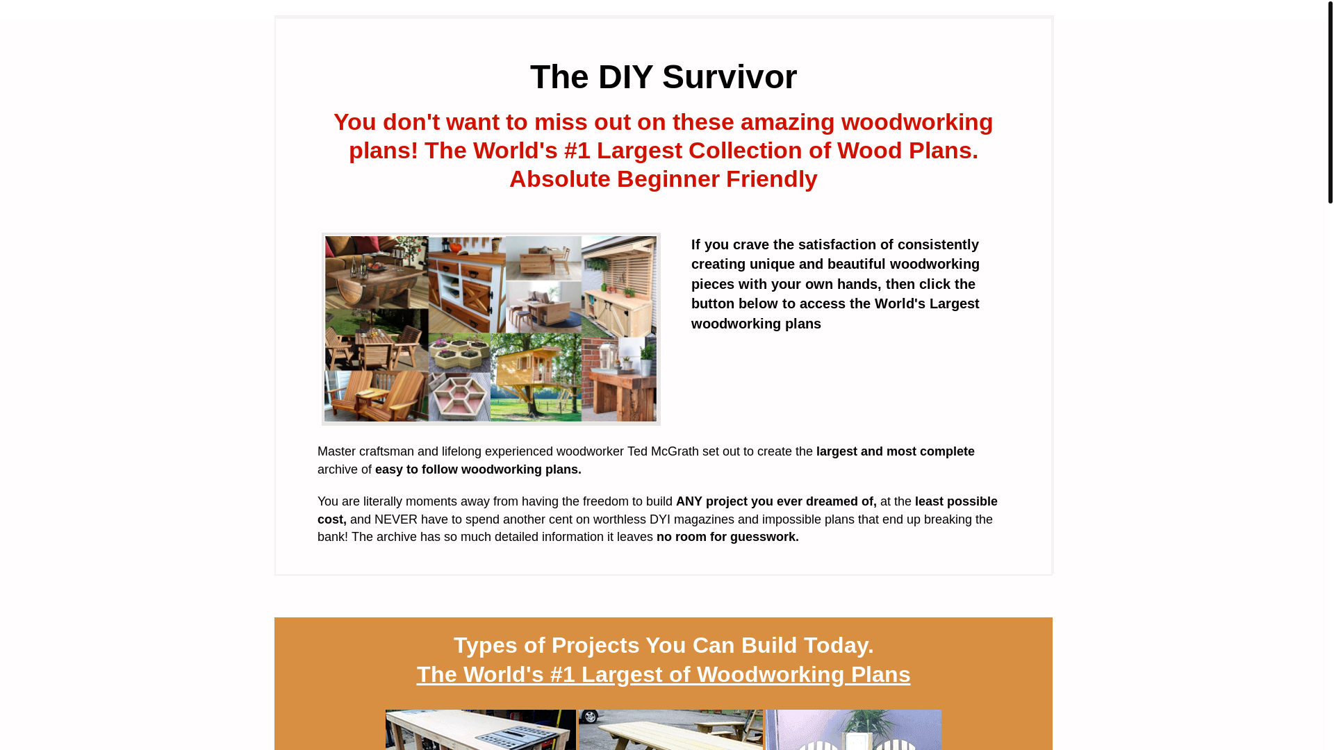 website screenshot of https://diysurvivor.net/